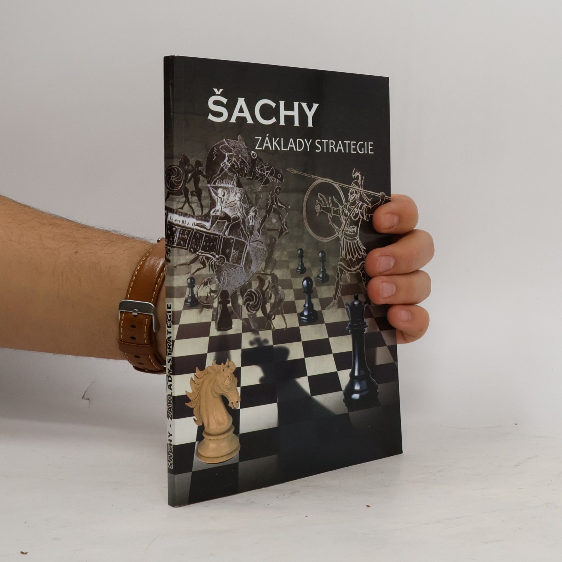 Šachy - Základy strategie