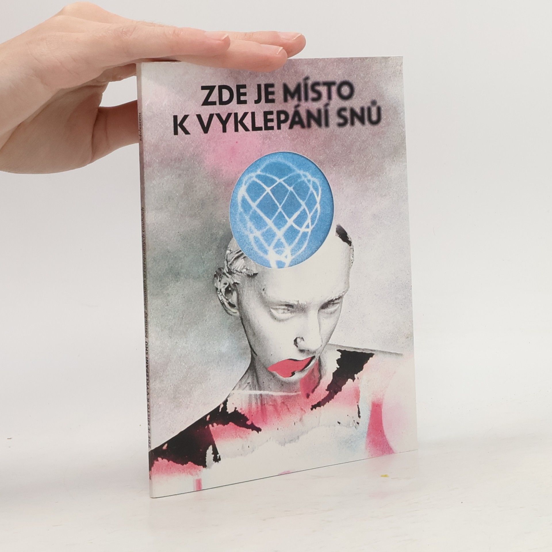Aleš Kauer ZDE JE MÍSTO K VY KLEPÁNÍ SNŮ