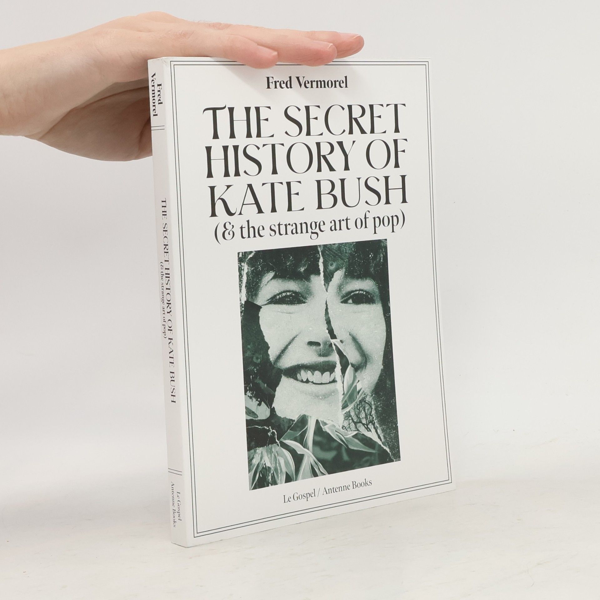 The Secret History of Kate Bush (and the Strange Art of Pop)