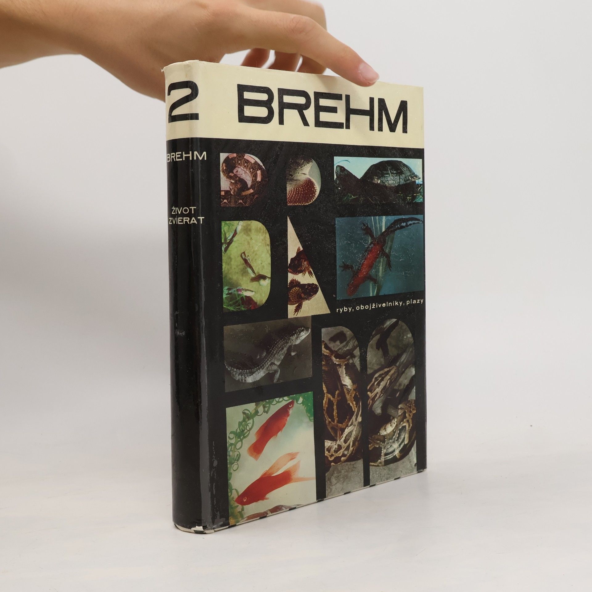 Kolektiv autorů Brehm 2: Život zvierat