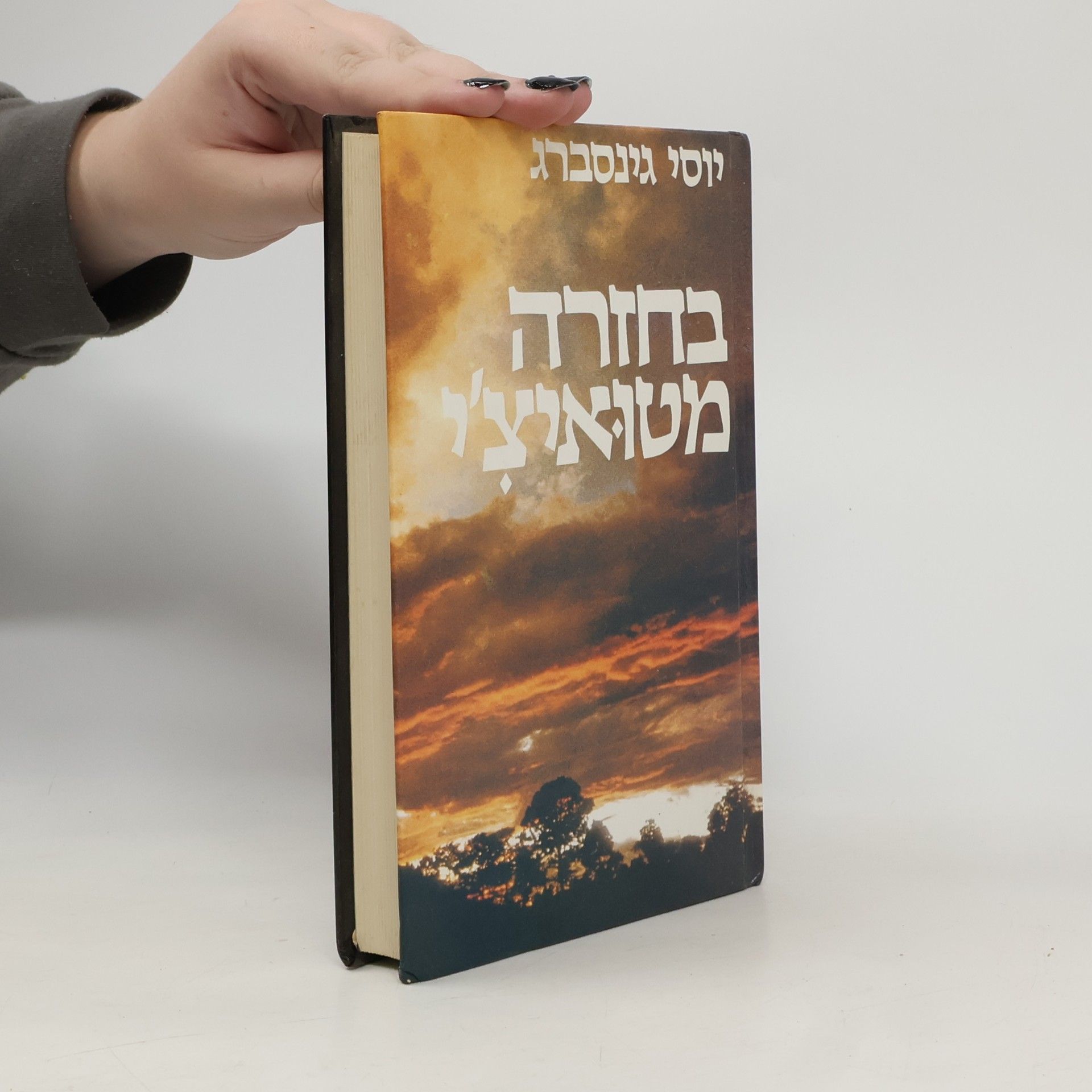 יוסי גינסברג בחזרה מטואיצ'י