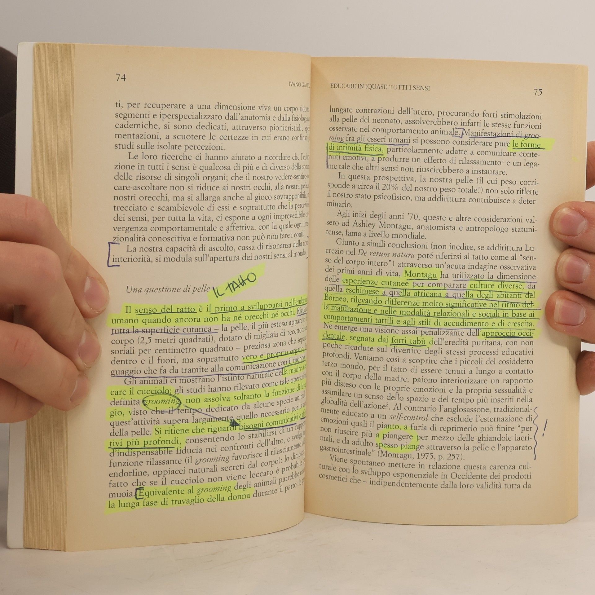 Ivano Gamelli Cura di sé: Pedagogia del corpo