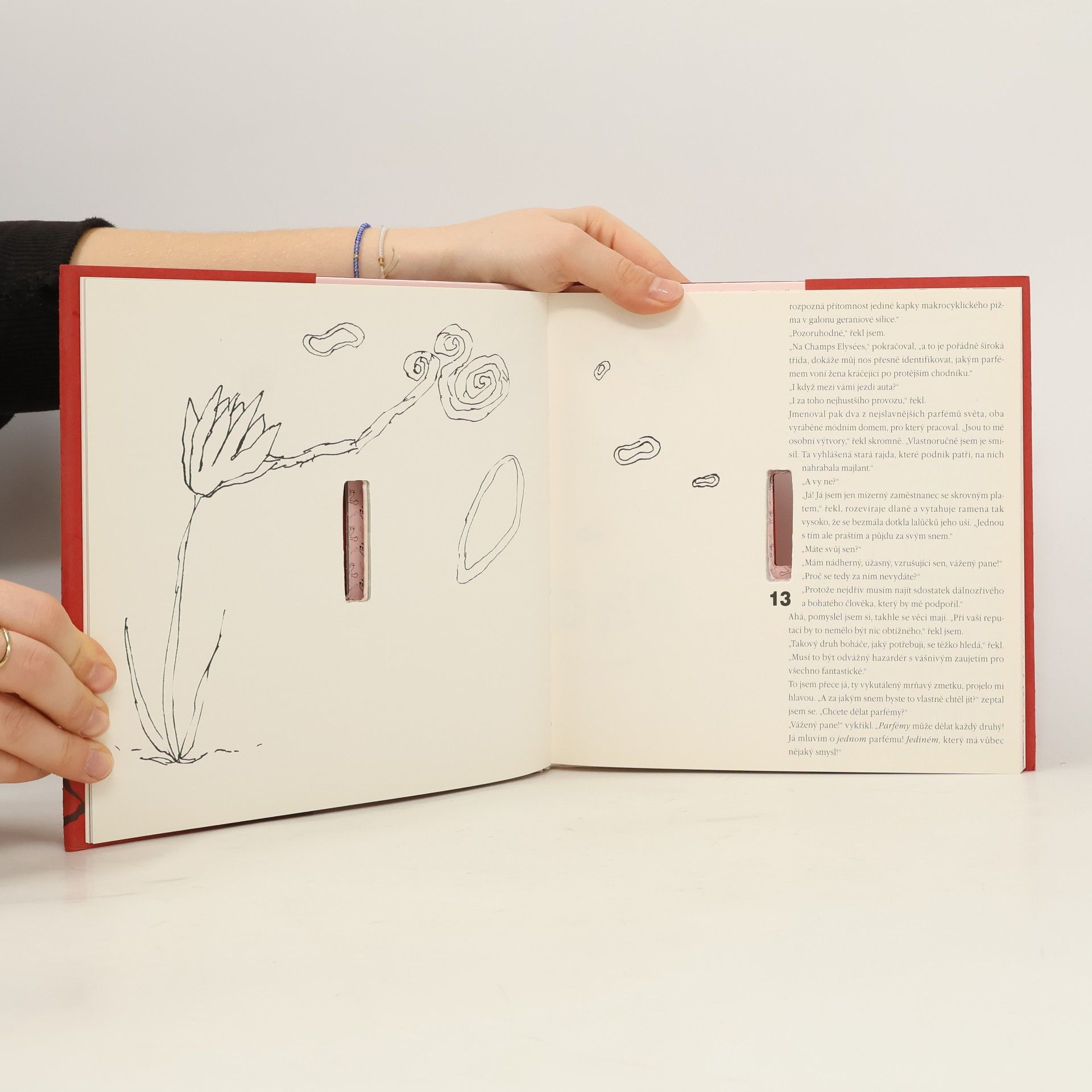 Roald Dahl Čubka