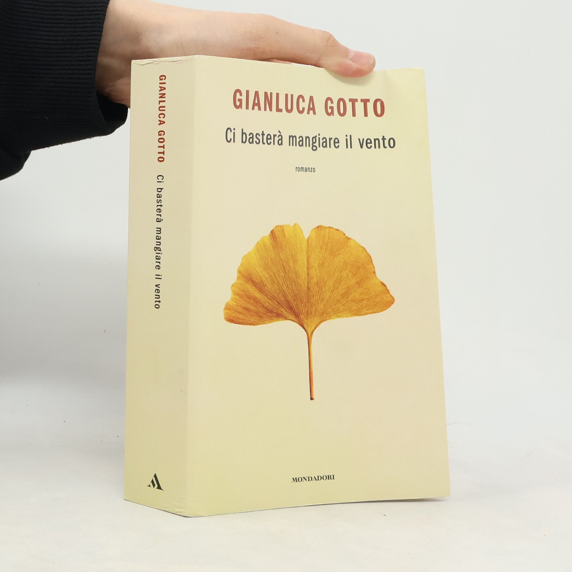Ci basterà mangiare il vento (Novel)