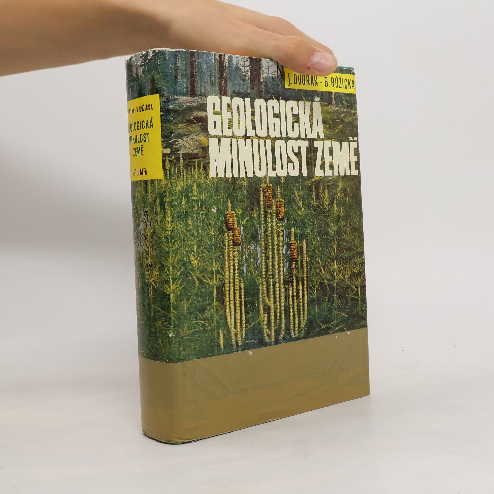 Geologická minulost země