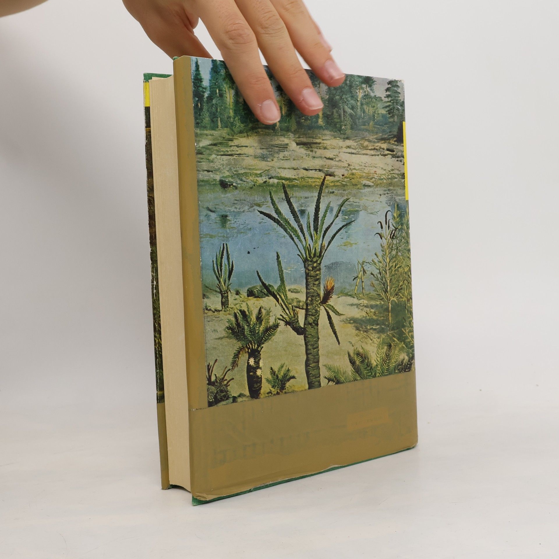 Josef Dvořák Geologická minulost země