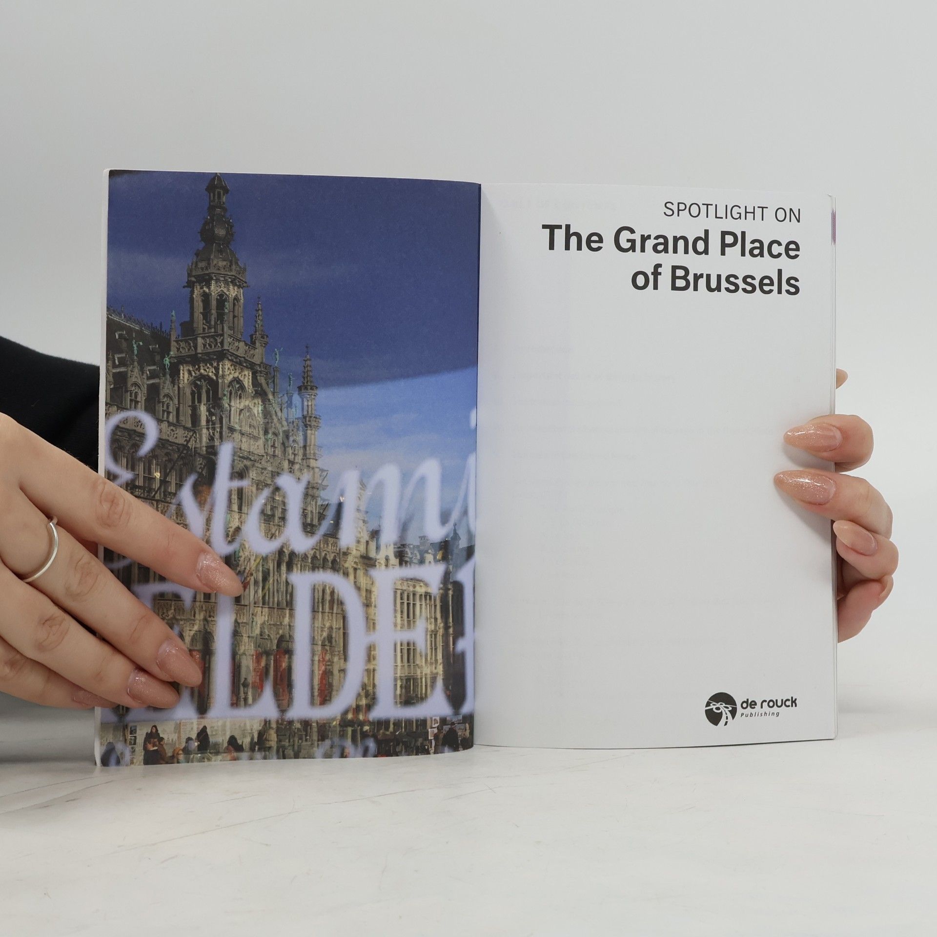 Kolektiv autorů Spotlight On The Grand Place of Brussels