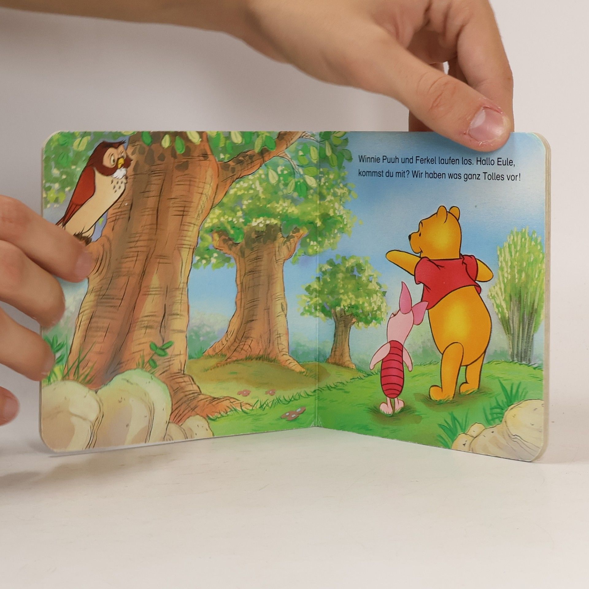 Alan Alexander Milne Winnie Puuh und seine Freunde