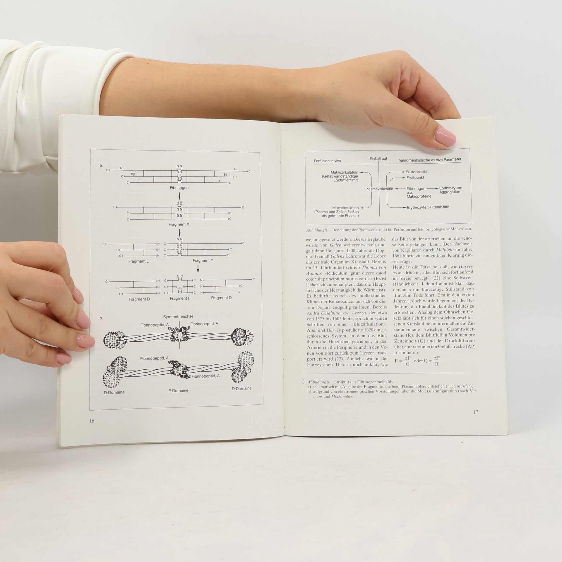 Edzard Ernst Hämorheologie für den Praktiker