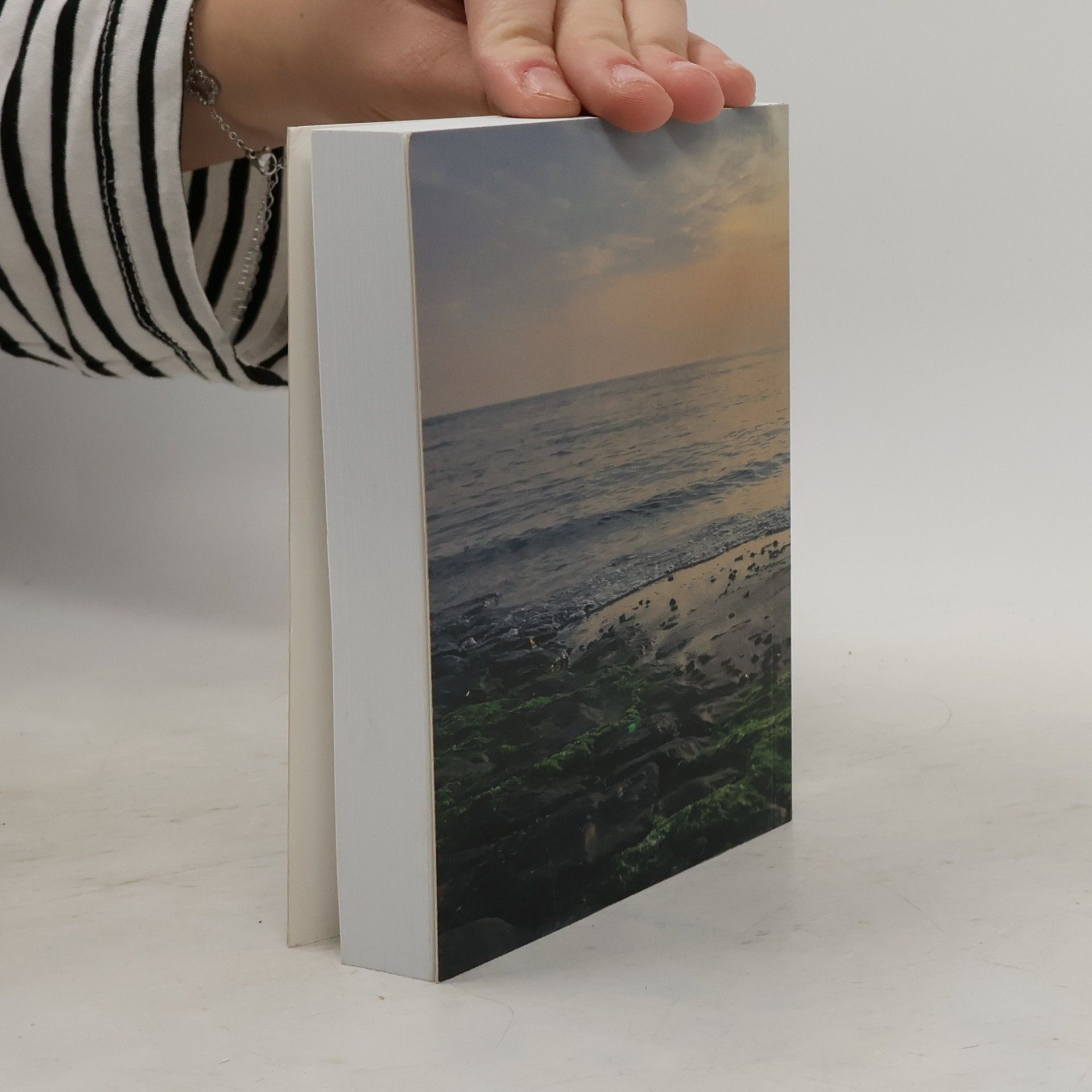 Various authors Het Rechte Spoor