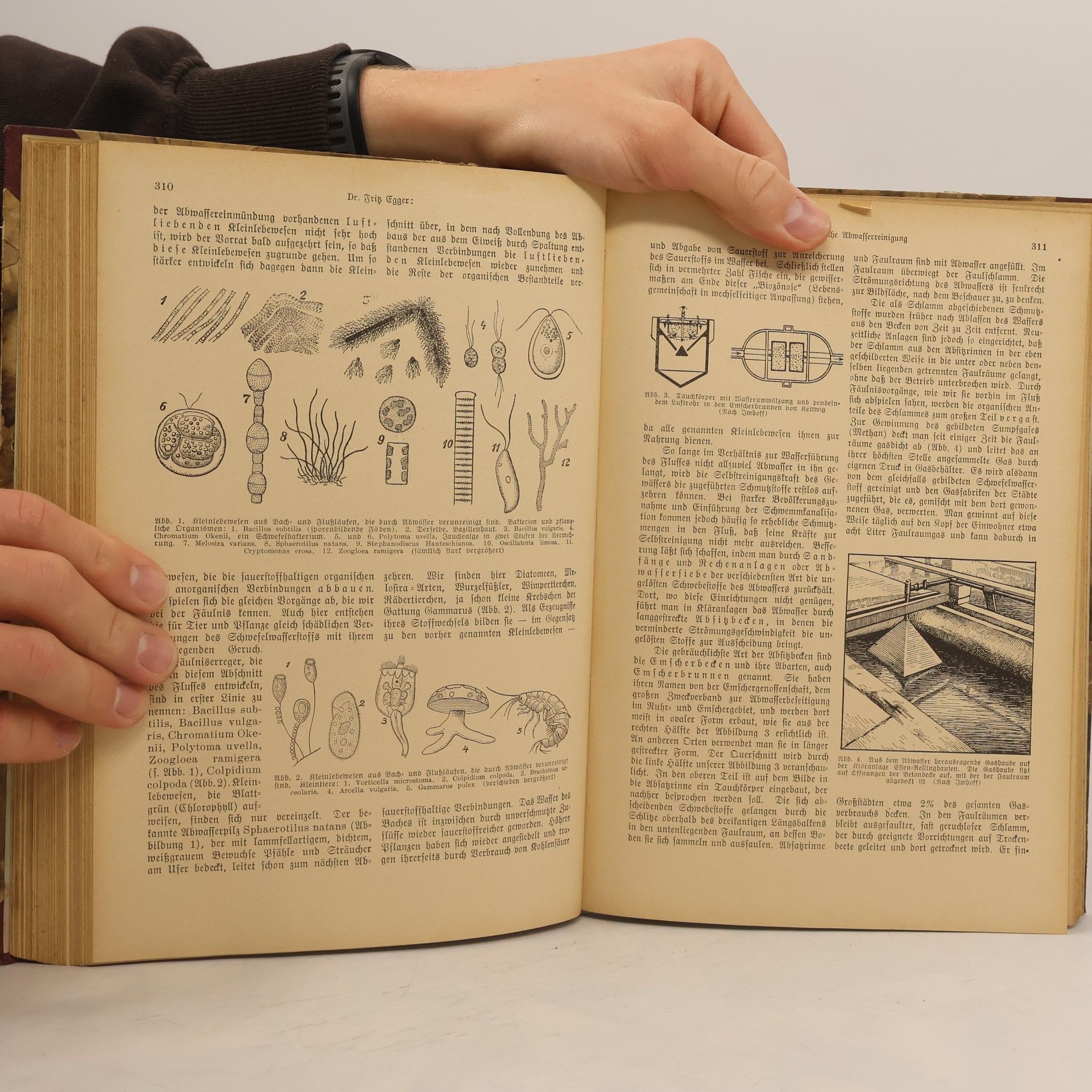 Autorenkollektiv Kosmos: Handweiser für Naturfreunde und Zentralblatt für das naturwissenschaftliche Bildungs- und Sammelwesen