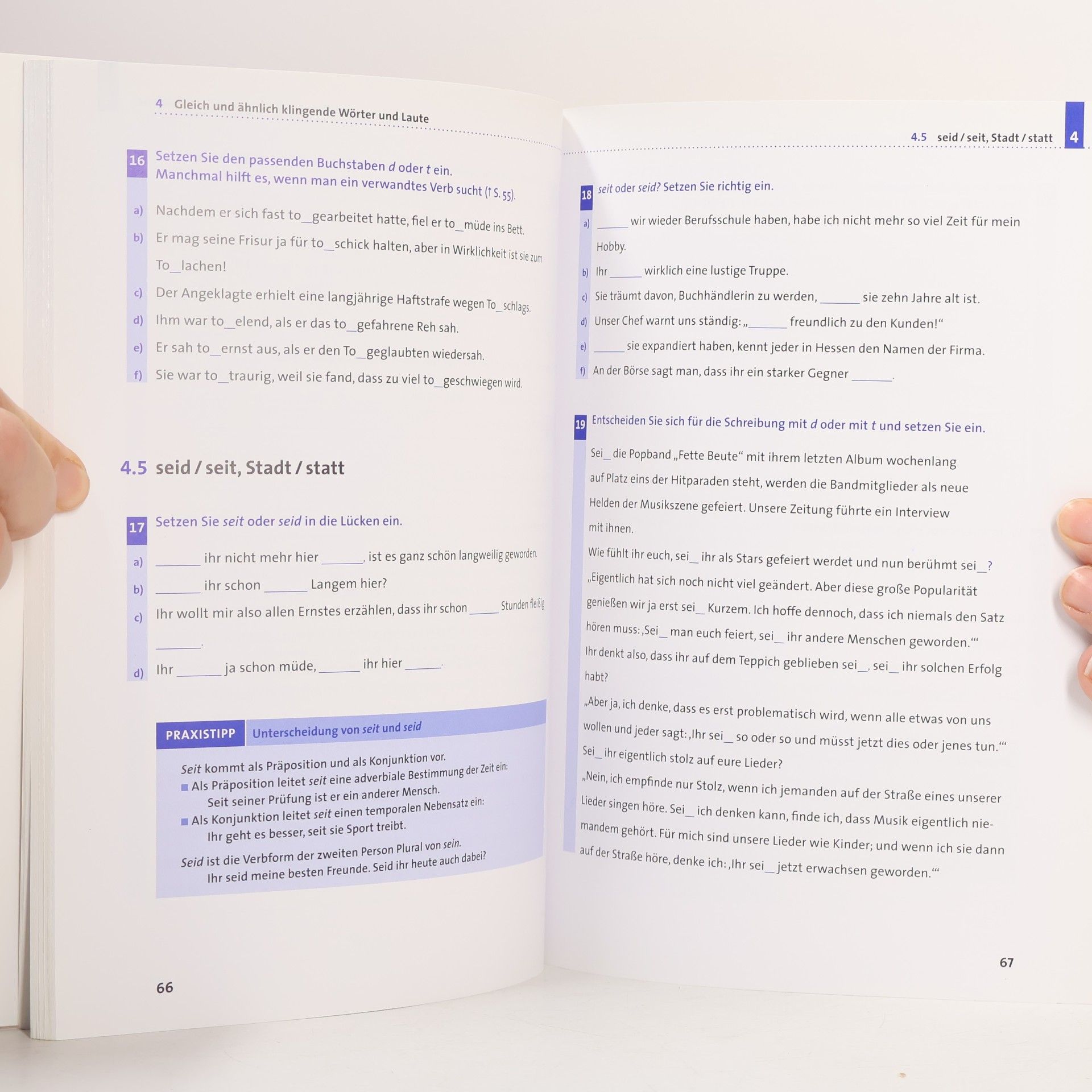 Anja Steinhauer Crashkurs Rechtschreibung : Das Übungsbuch für Ausbildung und Beruf