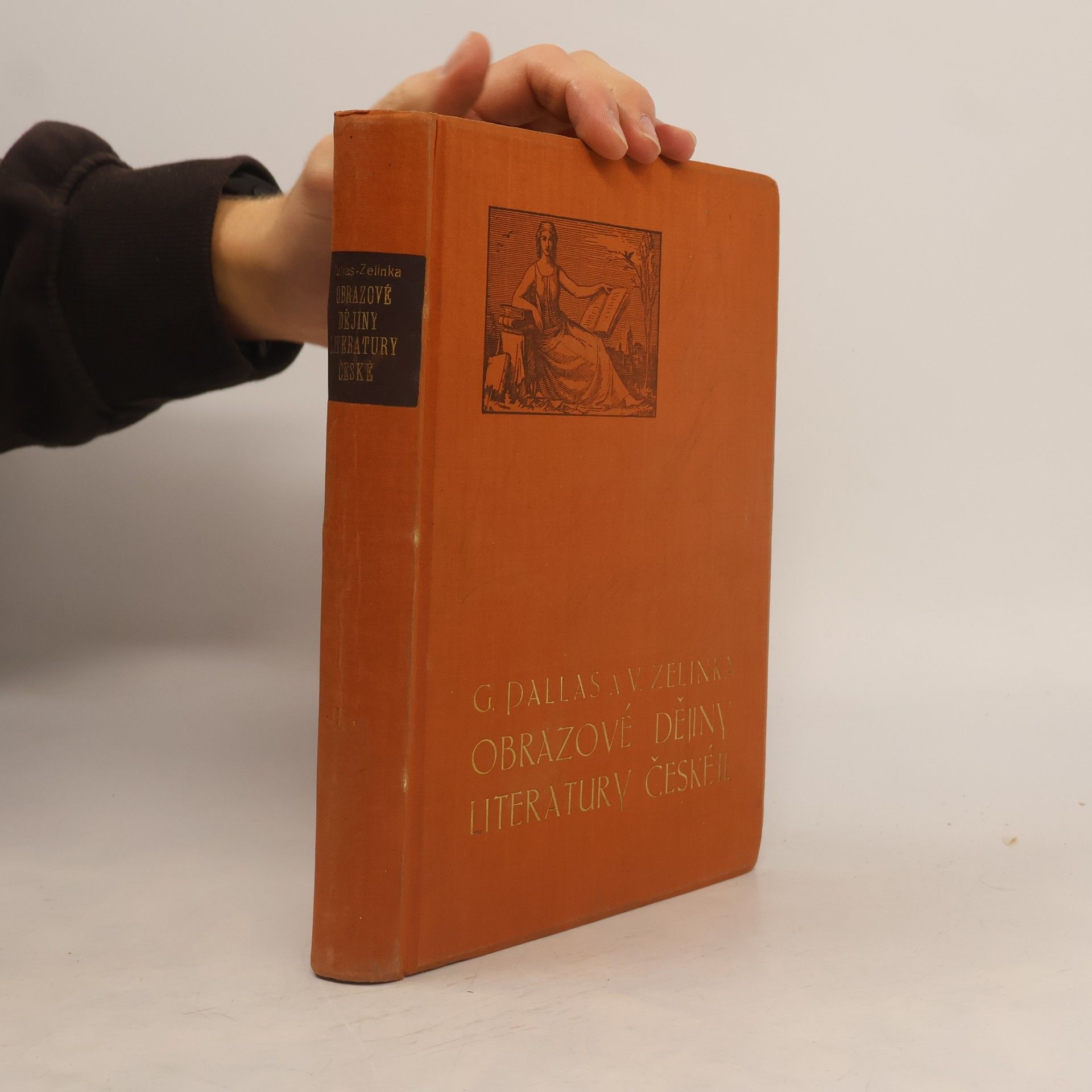 Obrazové dějiny literatury české II