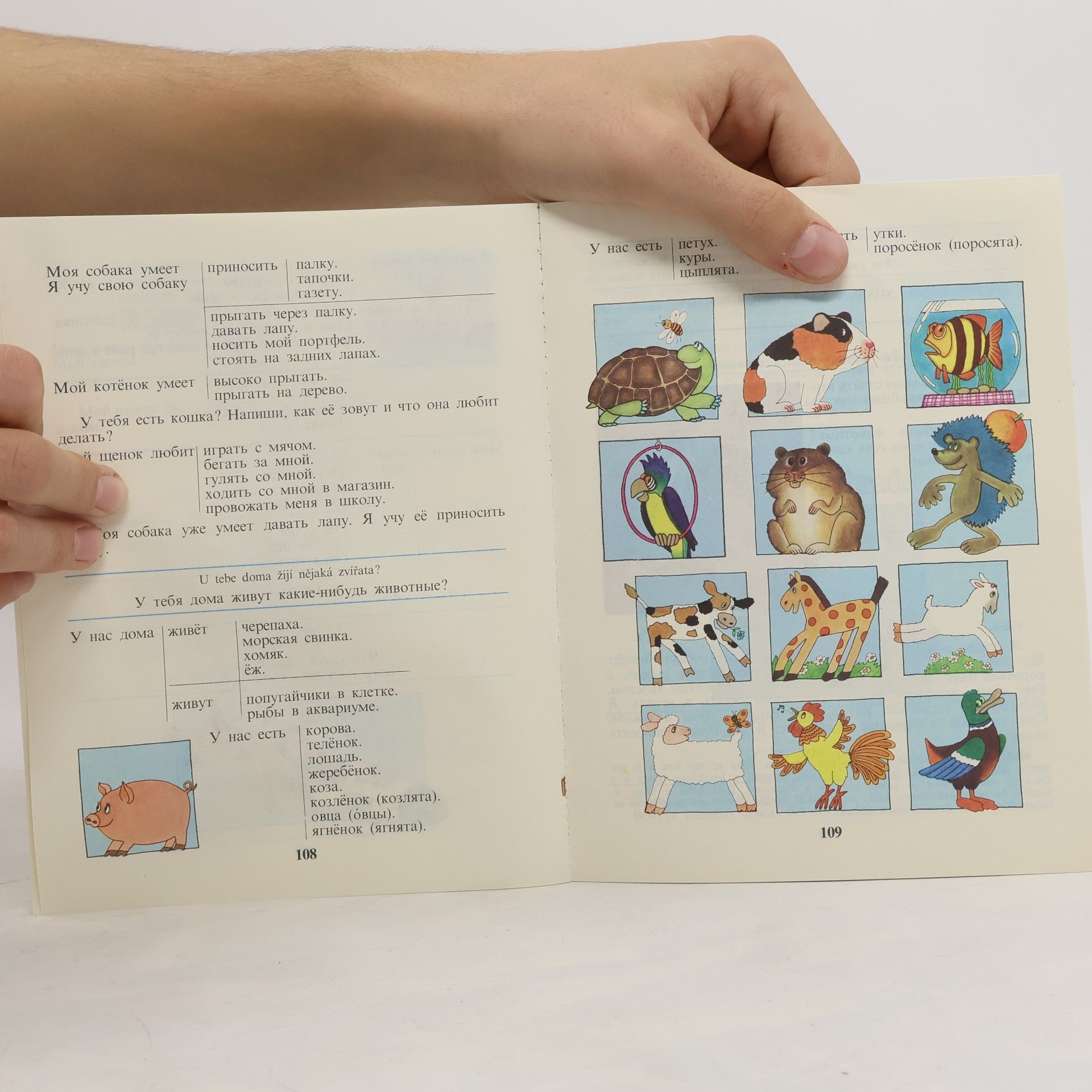 Various authors Dopisujeme si s přáteli