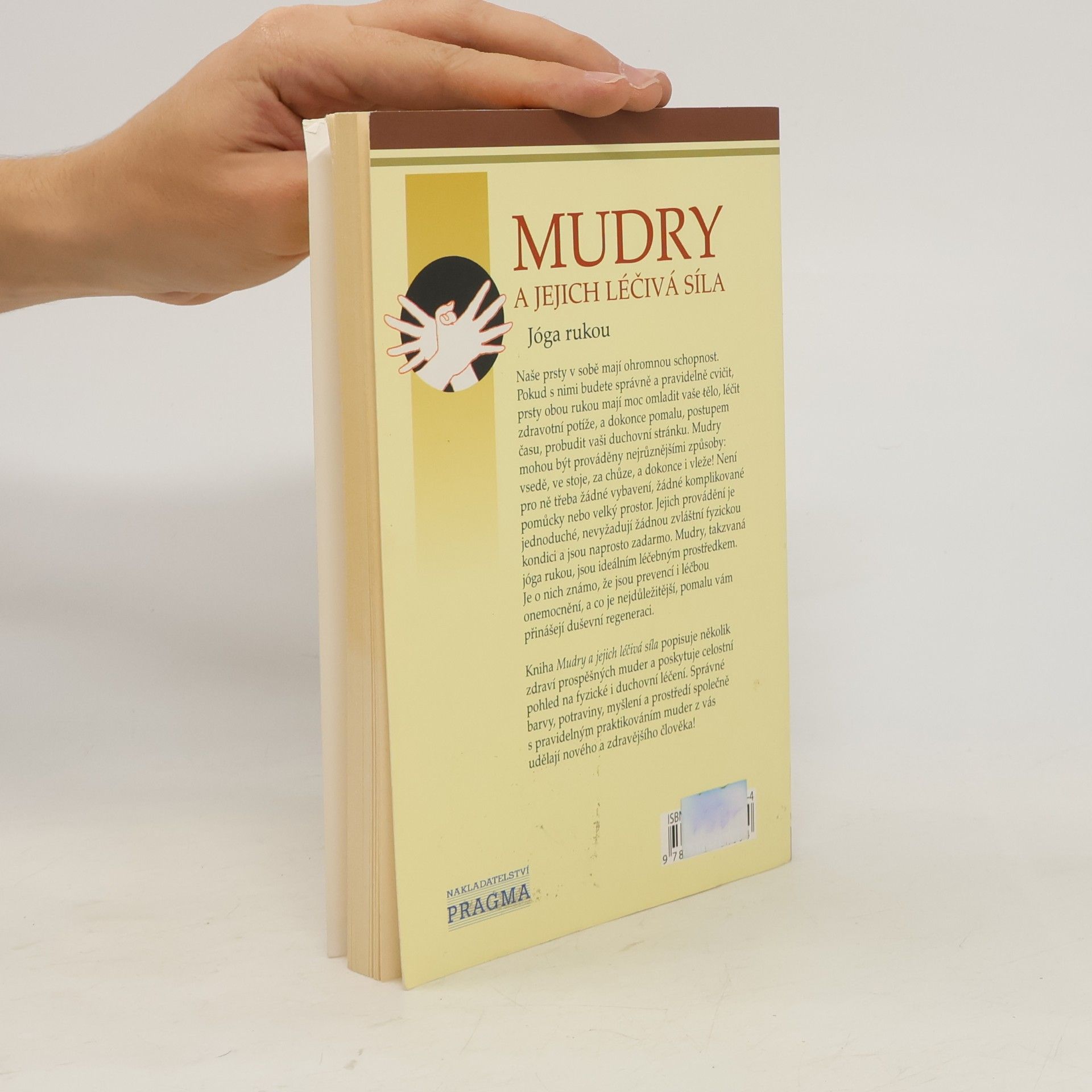 Rajendar Menen Mudry a jejich léčivá síla. Jóga rukou