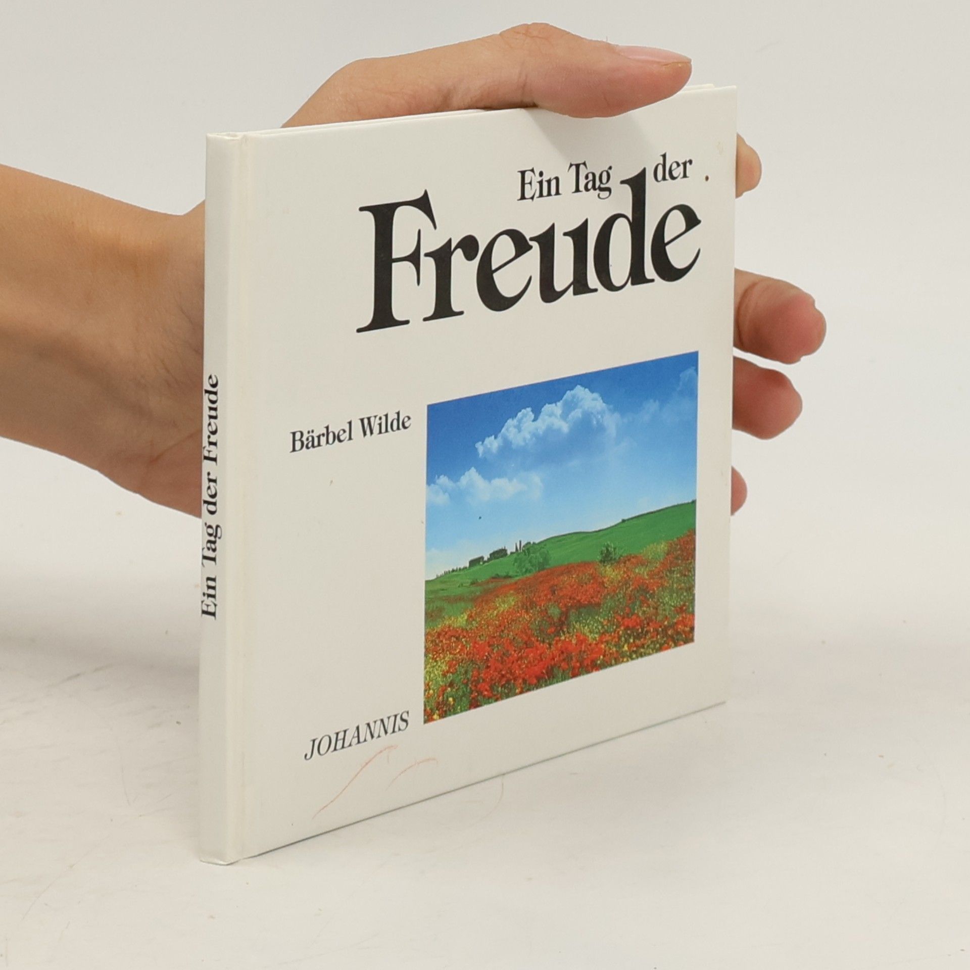 Bärbel Wilde Ein Tag der Freude