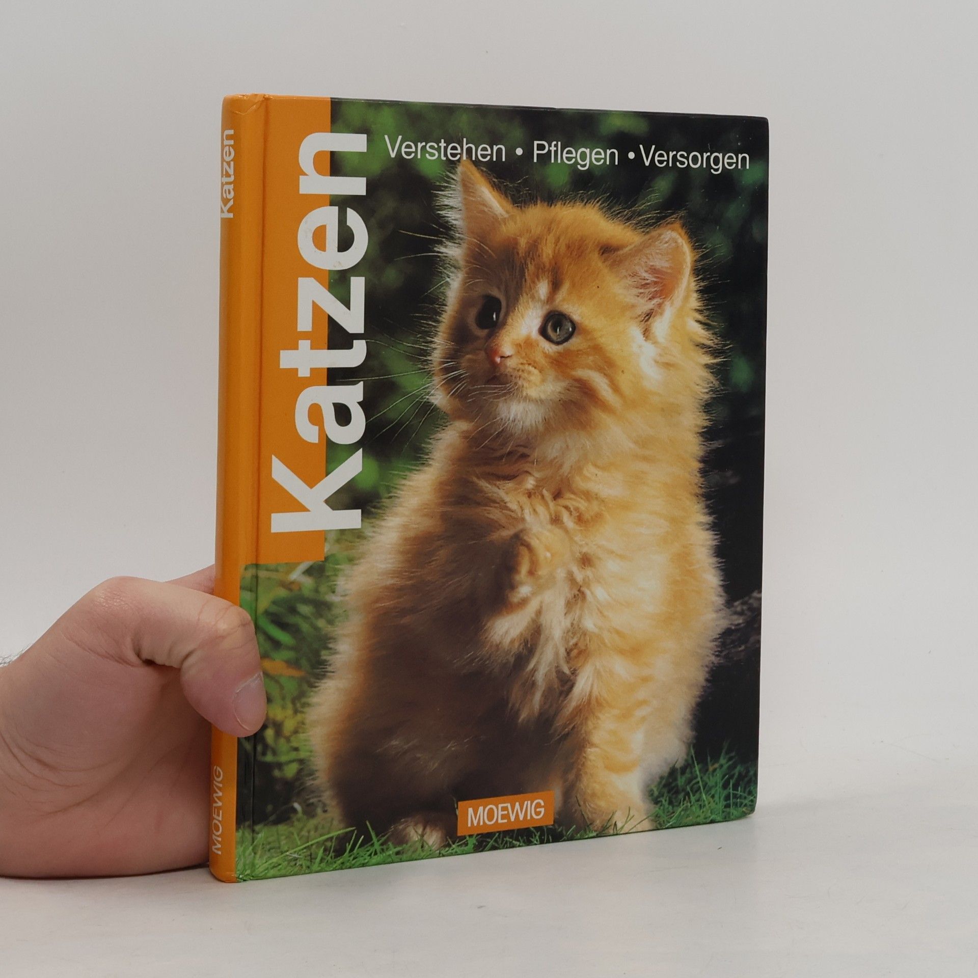 Katzen