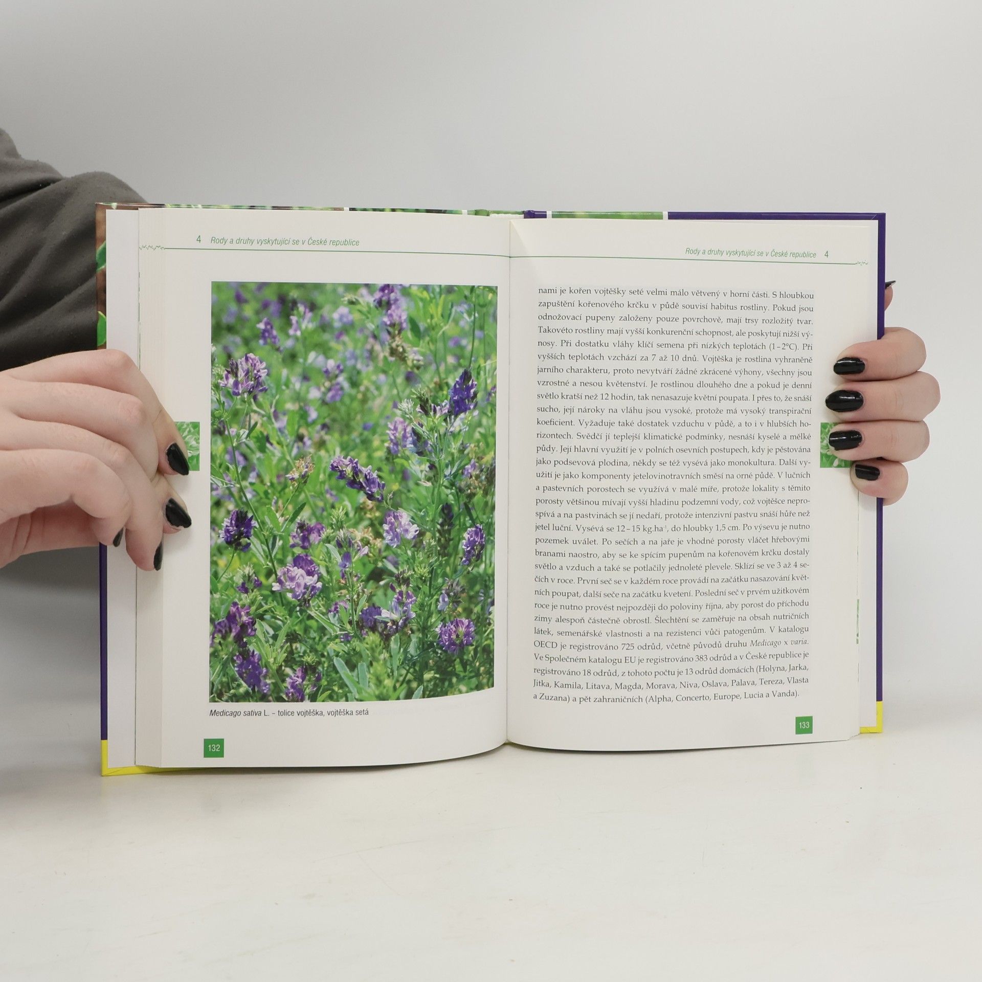 Jan Pelikán Rostliny čeledi Fabaceae LINDL. (bobovité) České republiky : (se zvláštním zaměřením na druhy významné pro zemědělství)
