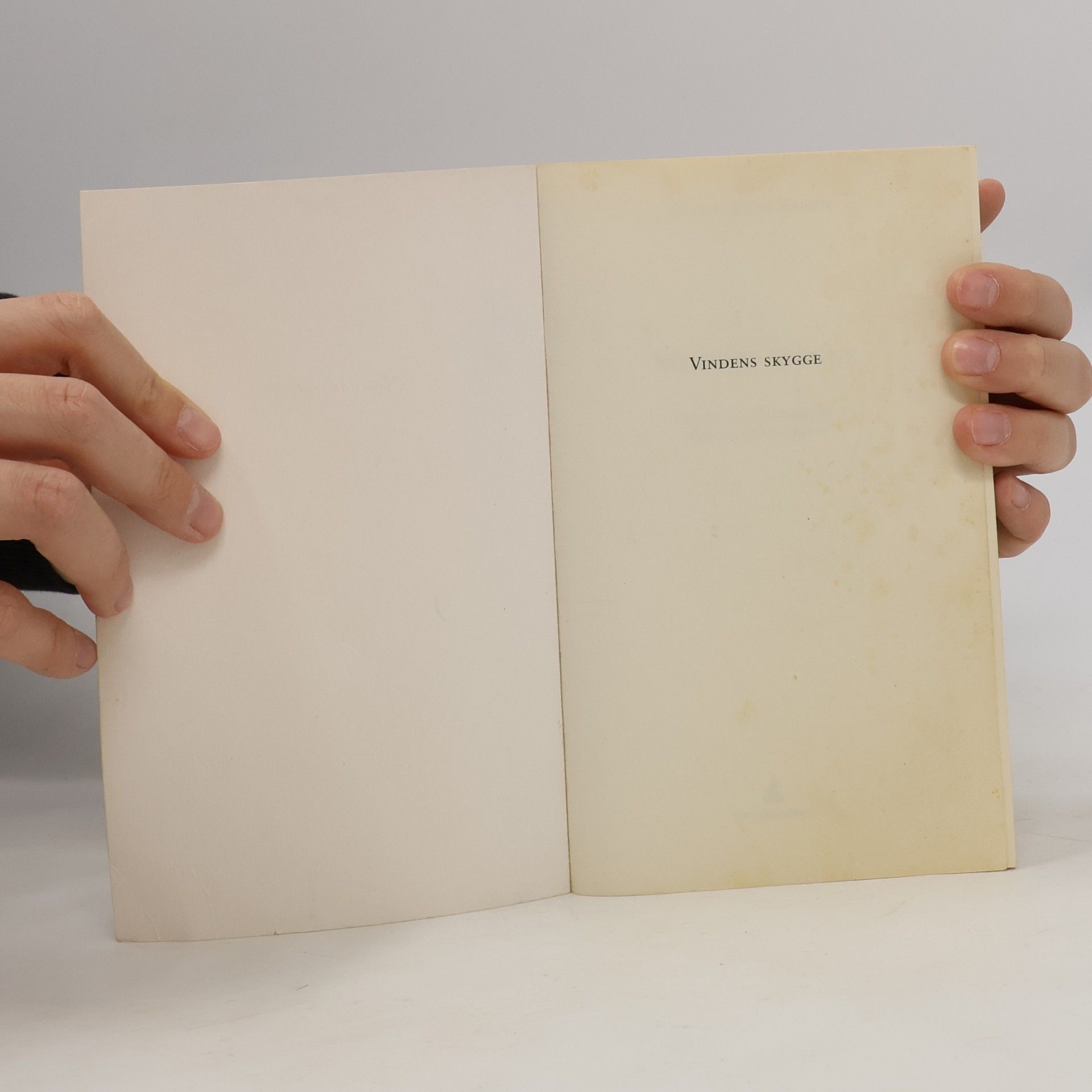 Carlos Ruiz Zafón Gyldendal Pocket: Vindens skygge
