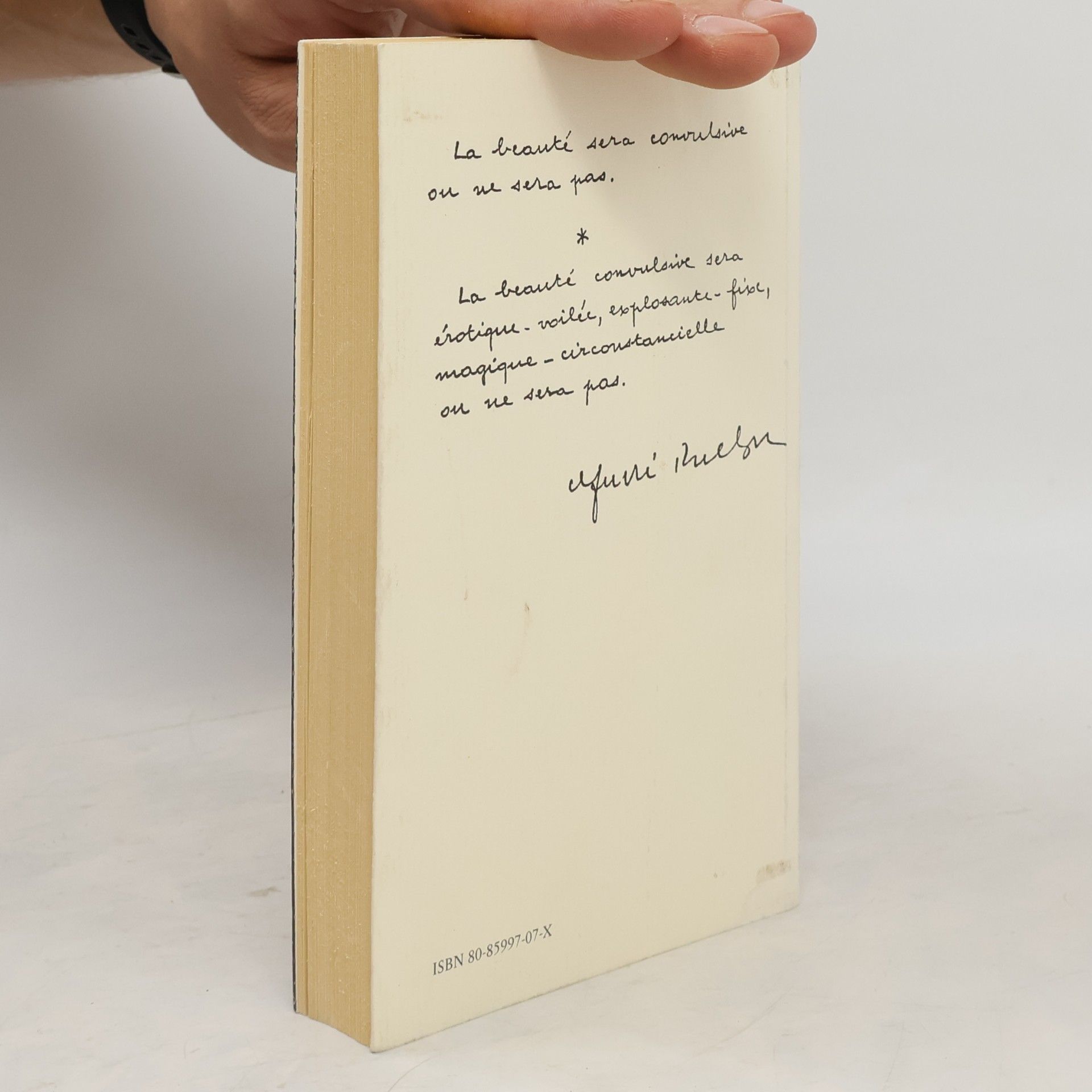 André Breton Rozhovory
