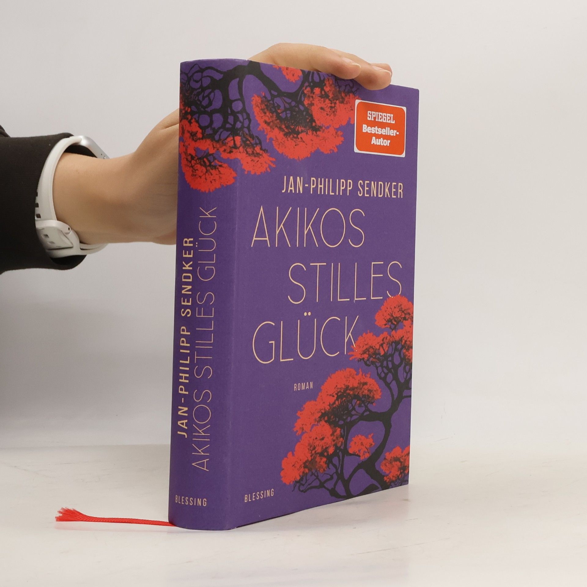 Akikos stilles Glück. Roman
