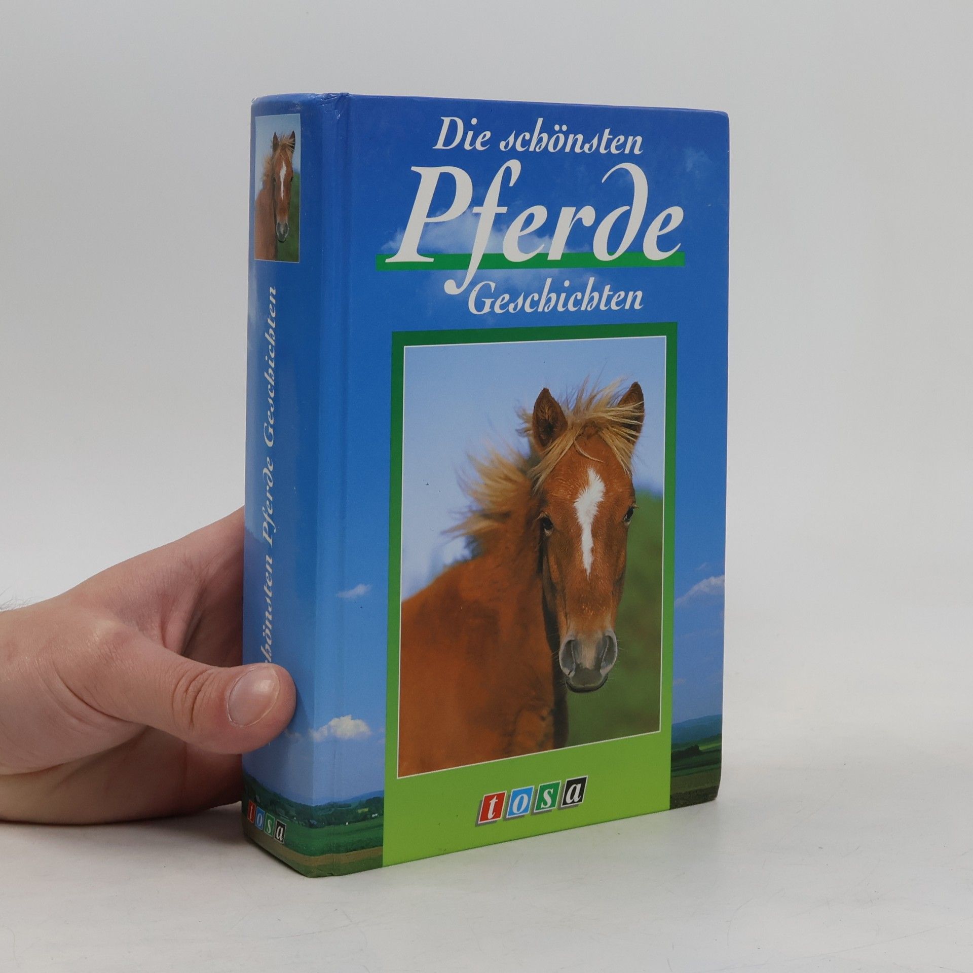 Autorenkollektiv Die schönsten Pferde-Geschichten