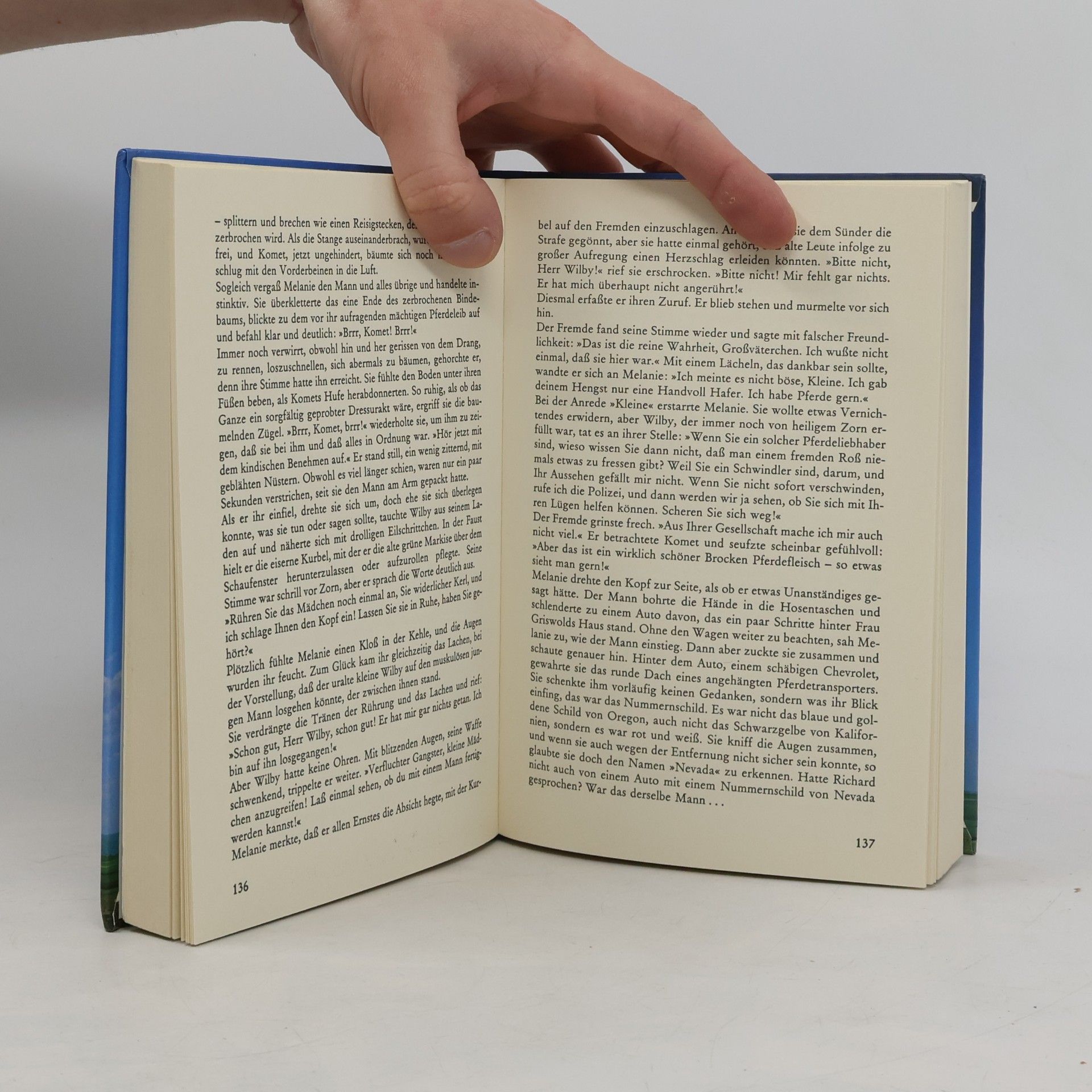 Autorenkollektiv Die schönsten Pferde-Geschichten