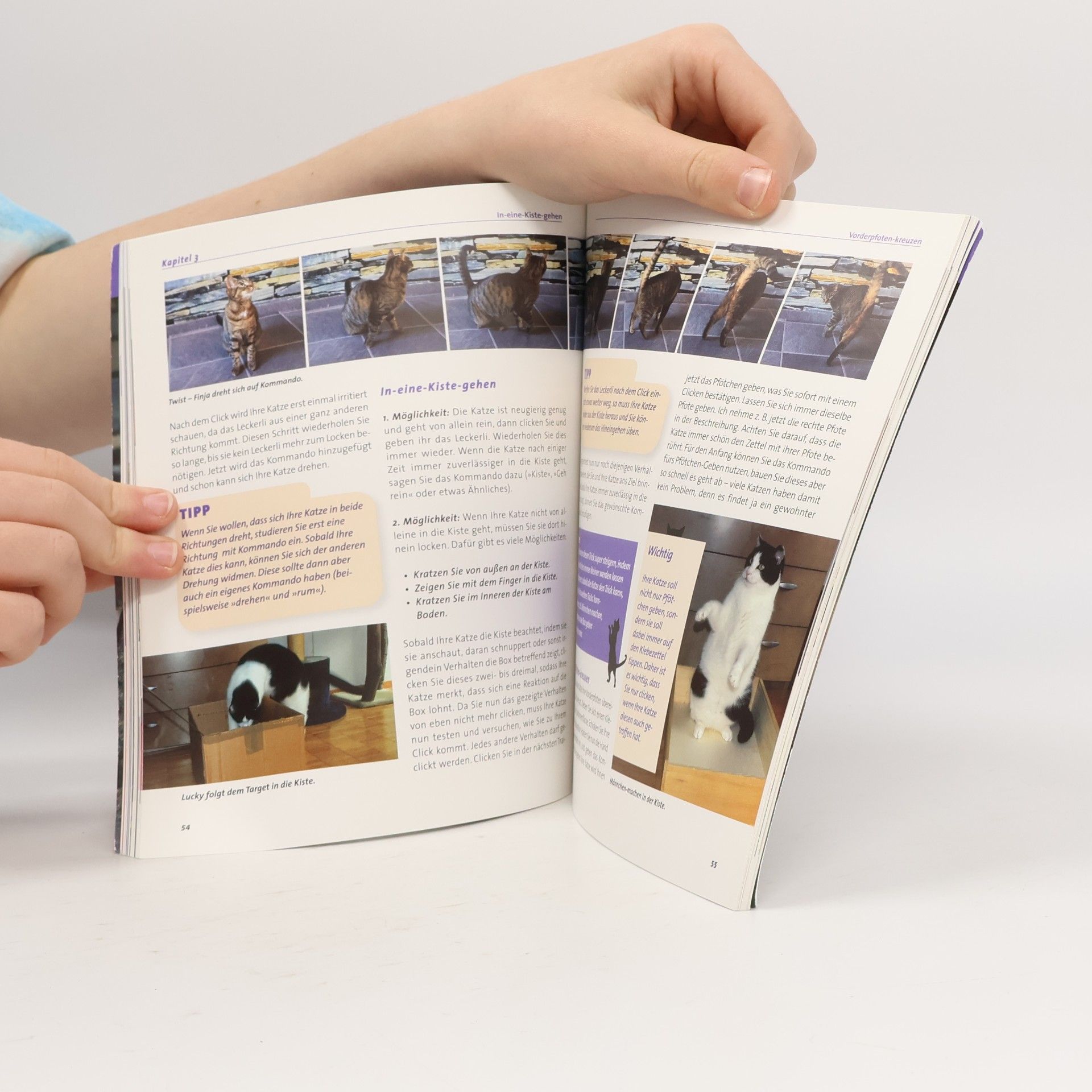 Dayana Winkler Katzen-Tricks mit Clicker