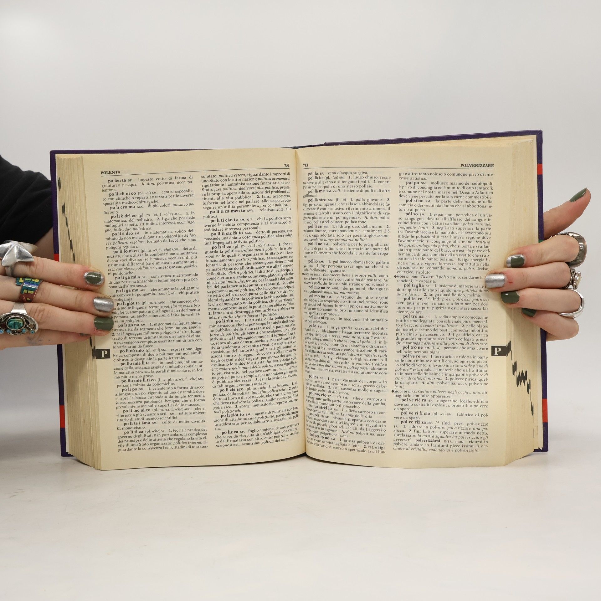 Various Dizionario fondamentale della lingua italiana