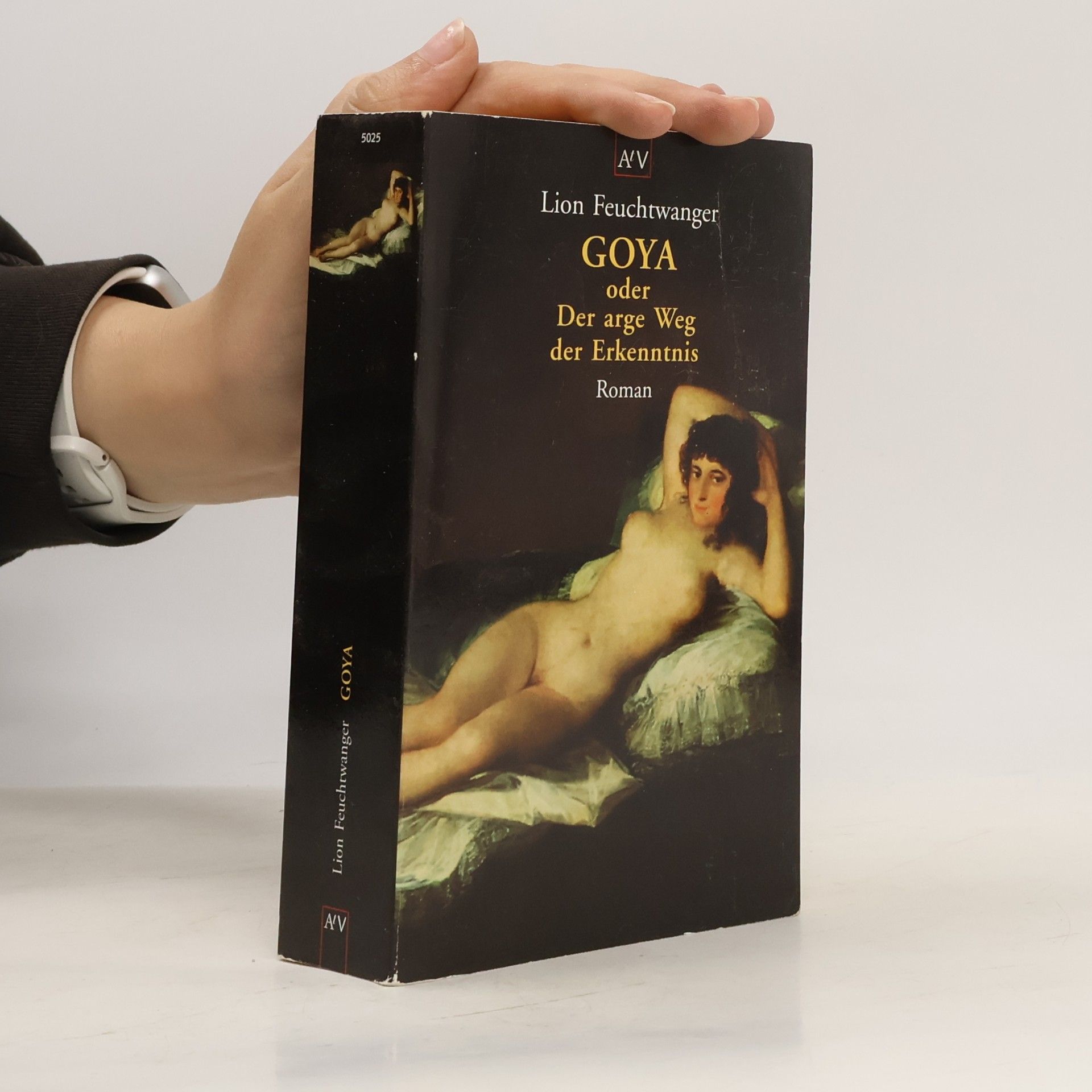 Goya oder der arge Weg der Erkenntnis