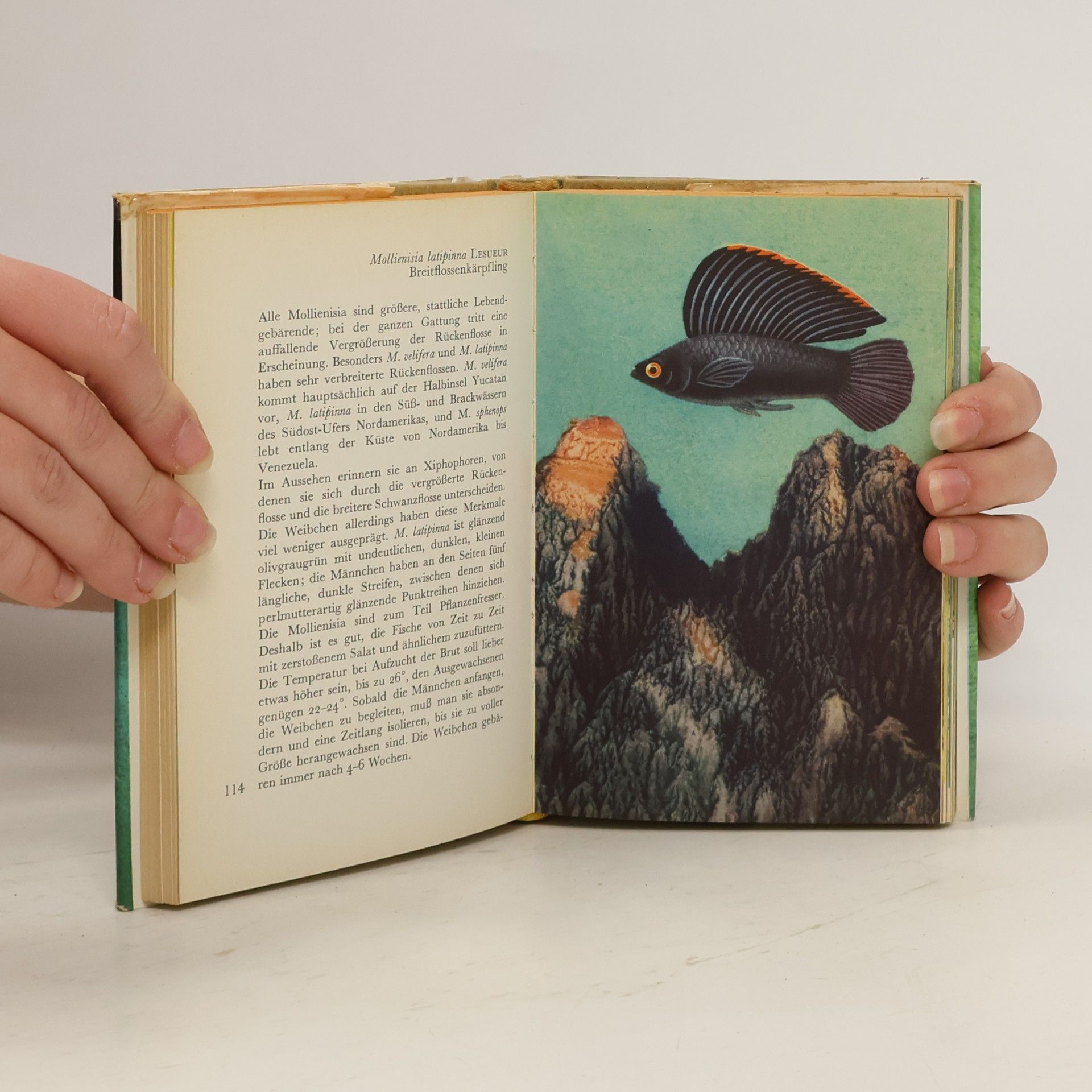 Zdeněk Vogel Taschenatlas der Aquarienfische