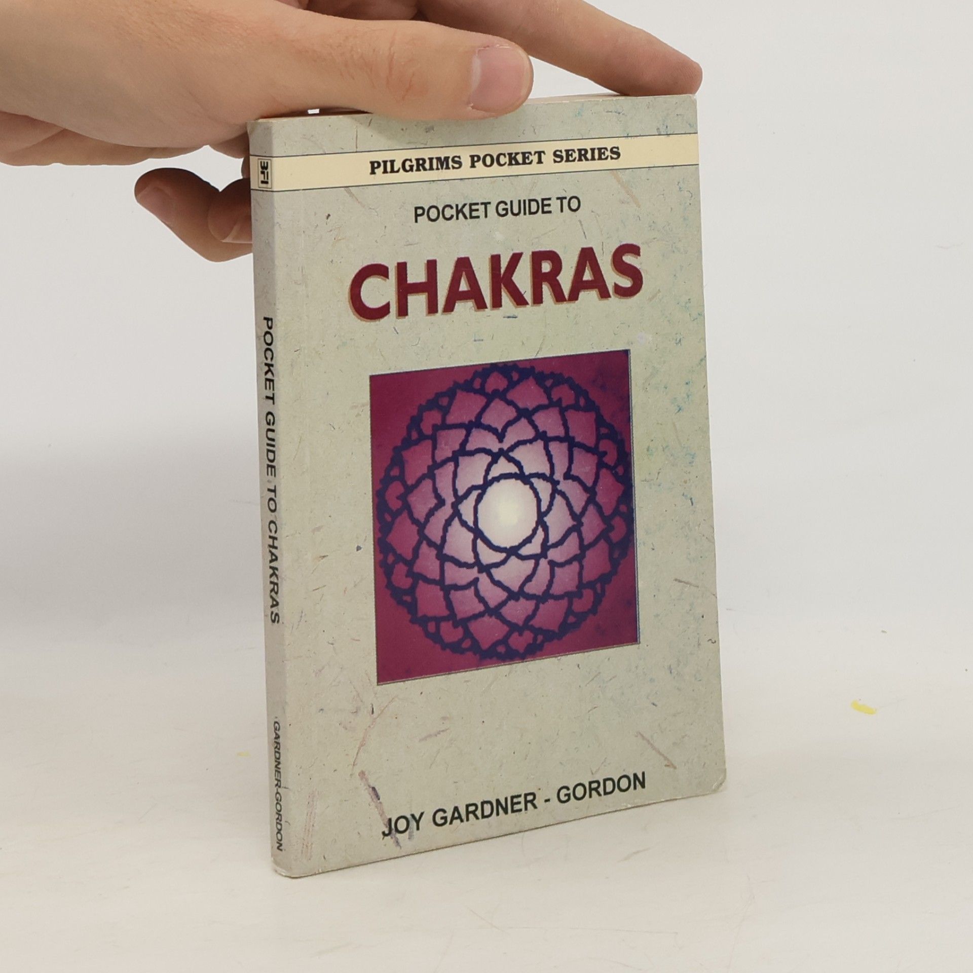 Pocket Guide to the Chakras