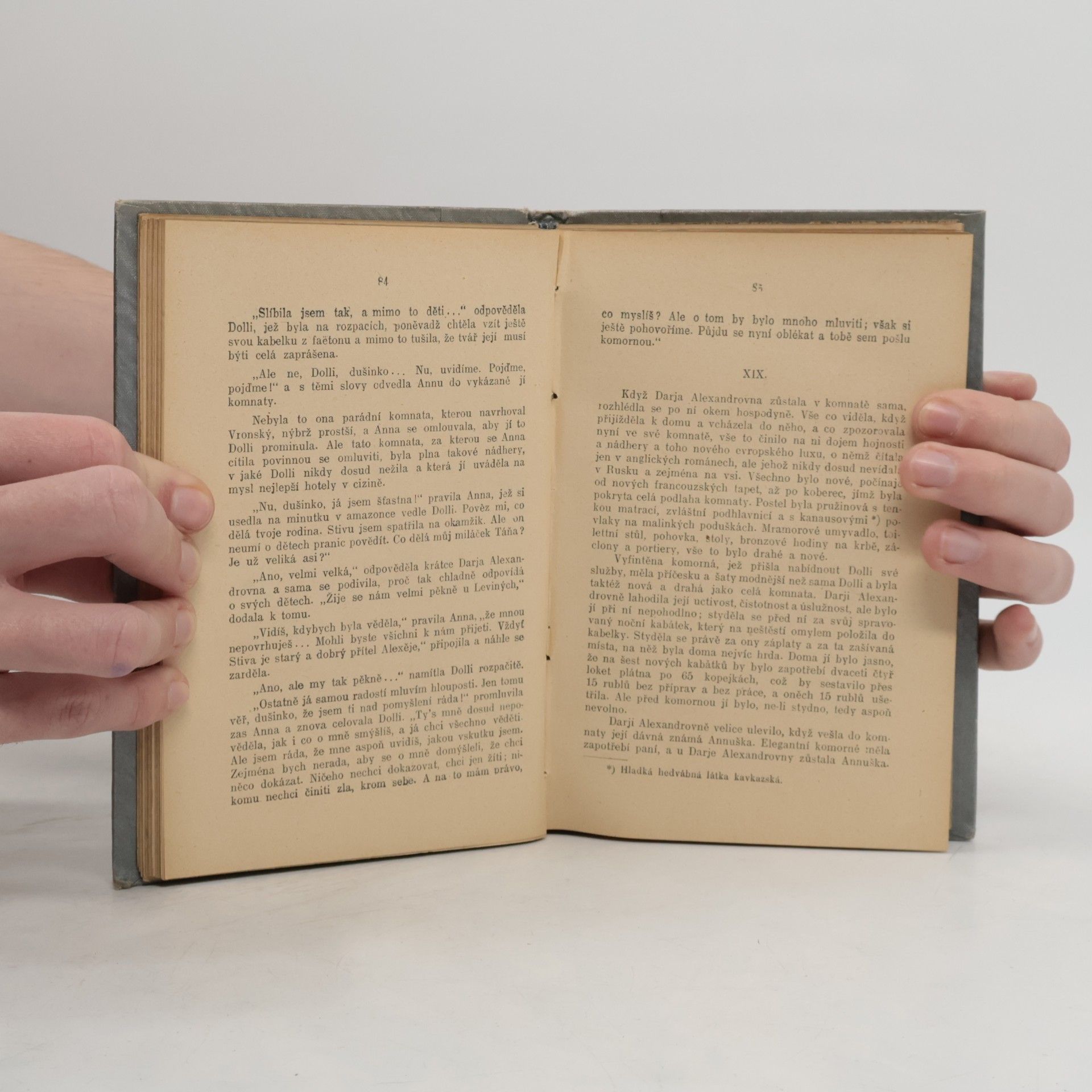 Lew Nikolajewitsch Tolstoi Anna Karenina. Díl třetí