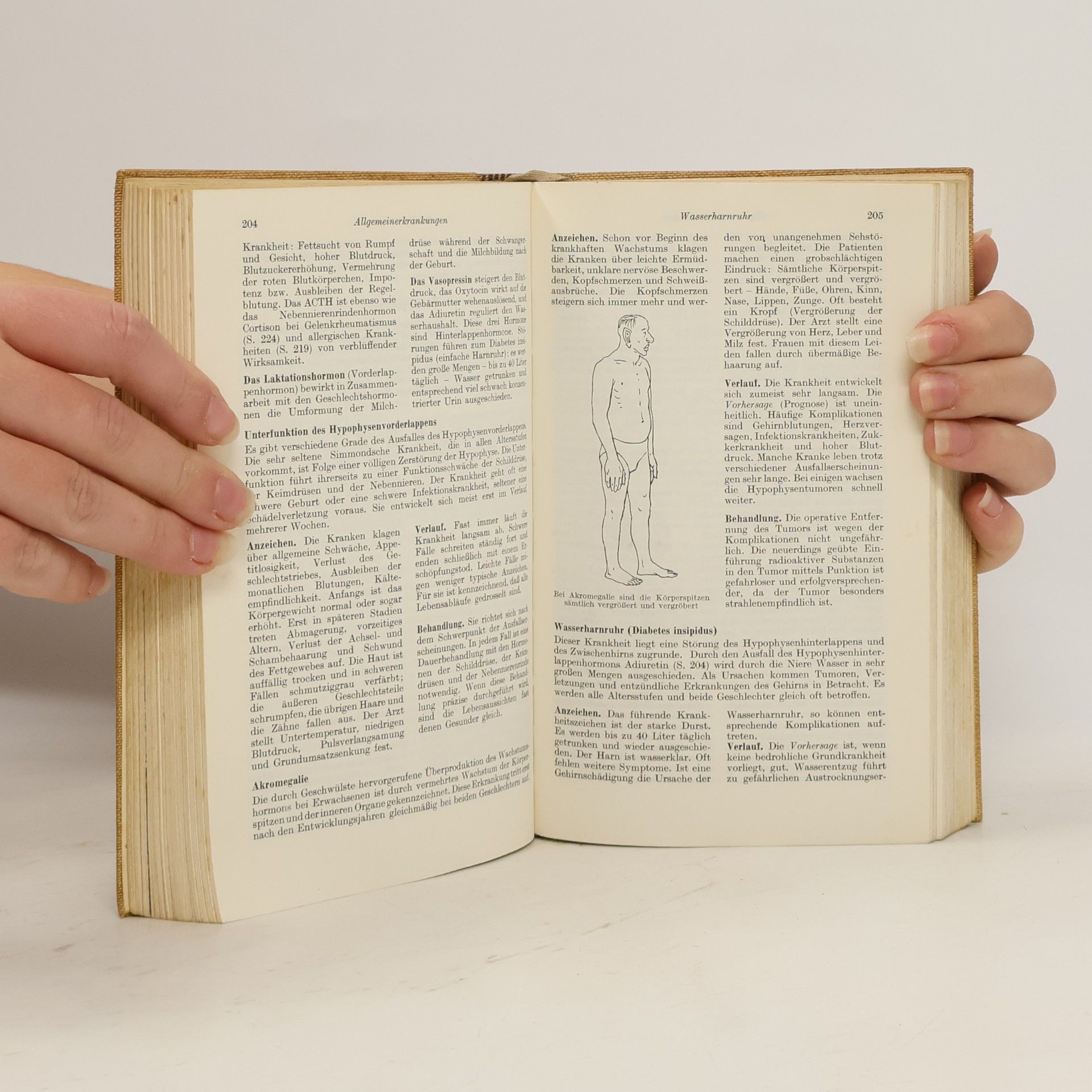 Kurt Pollok Das ärztliche Hausbuch