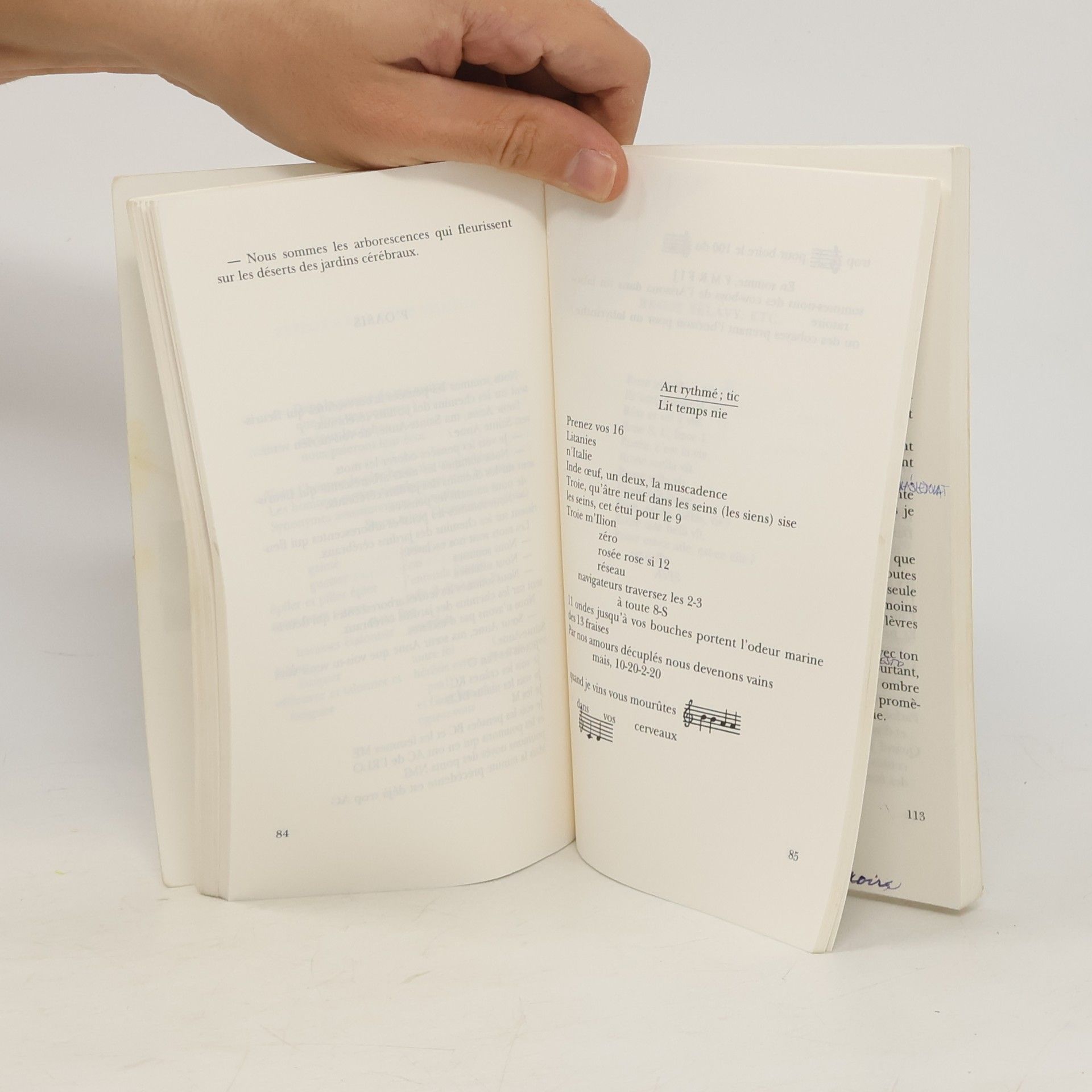 Robert Desnos Corps et biens