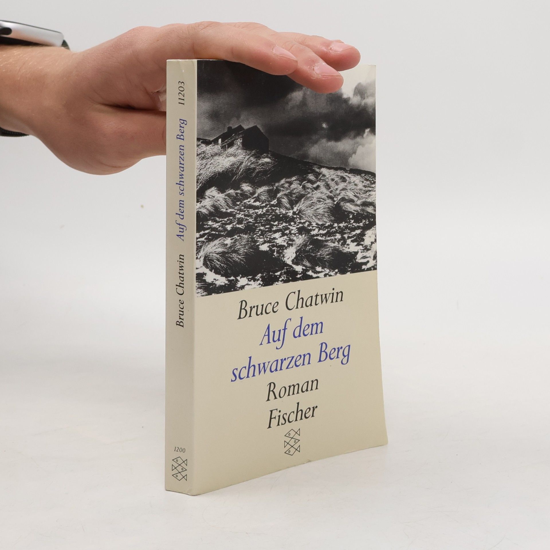 Bruce Chatwin Auf dem schwarzen Berg