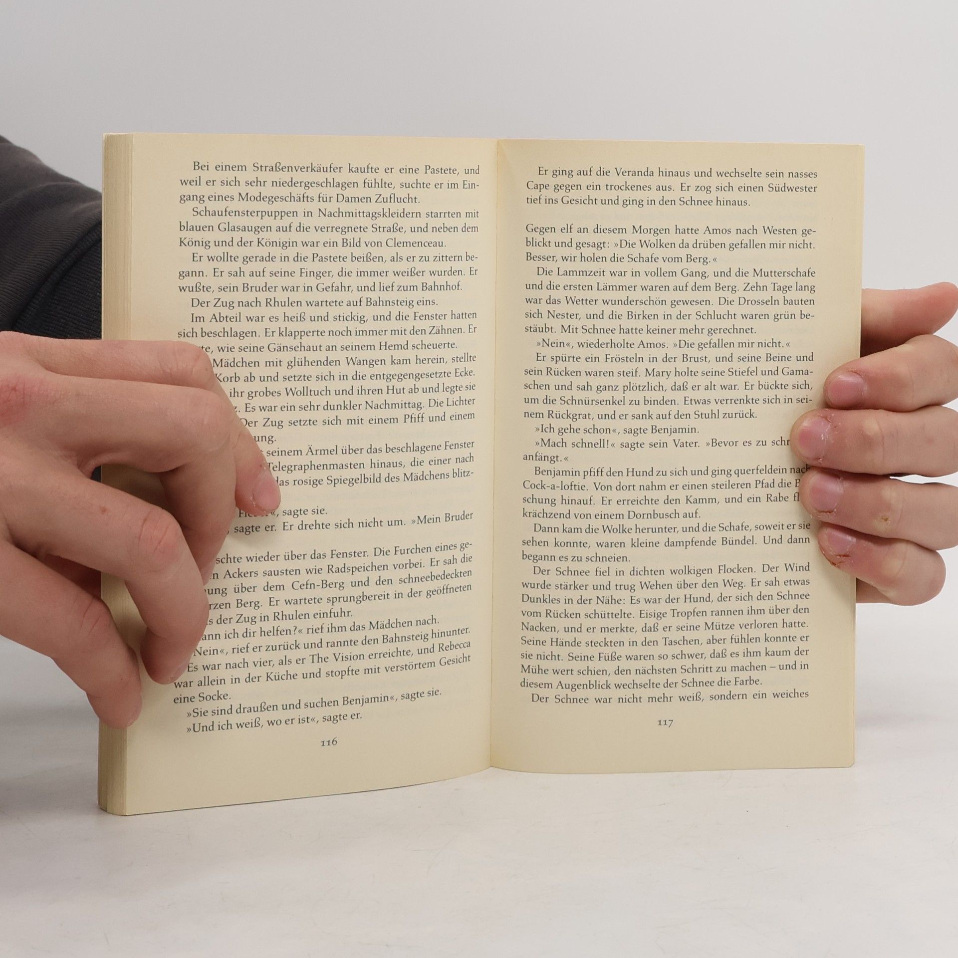 Bruce Chatwin Auf dem schwarzen Berg