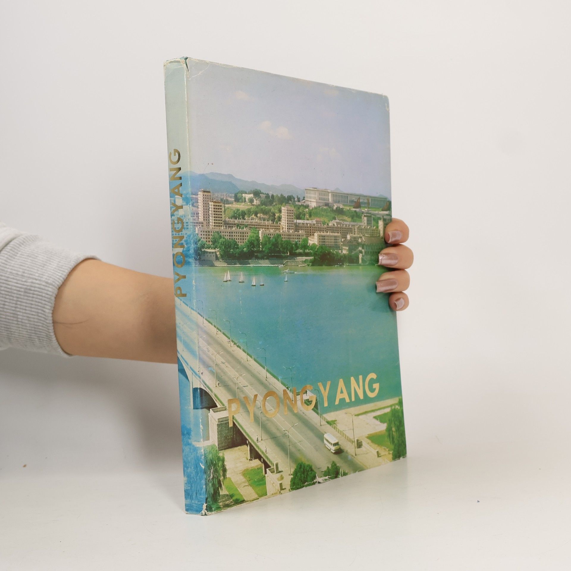 Kolektiv autorů Pyongyang
