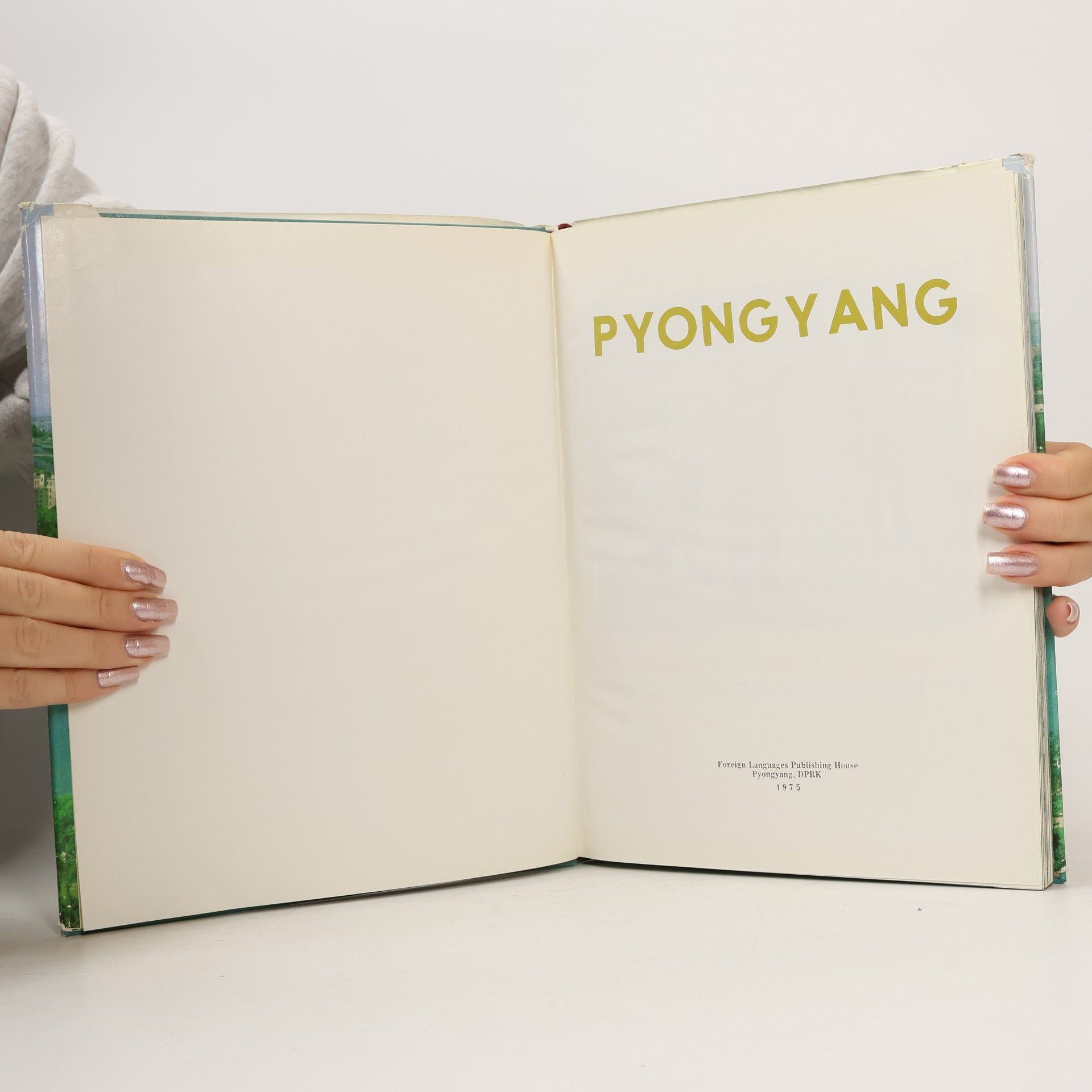 Kolektiv autorů Pyongyang