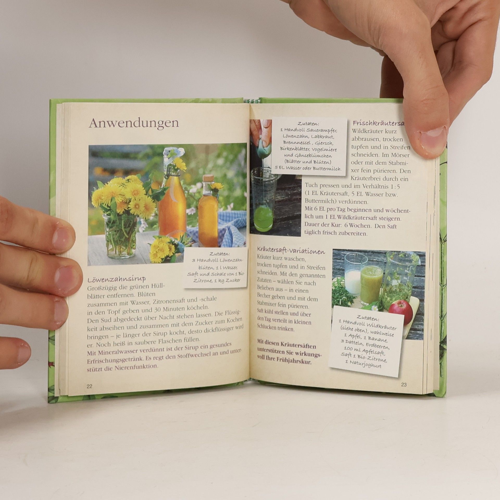 Autorenkollektiv Wildkräuter-Fibel