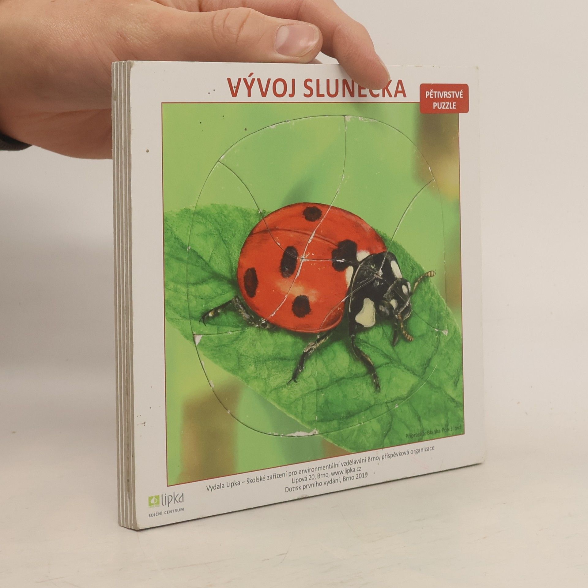 Vývoj slunééčka. Pětivrstvé puzzle