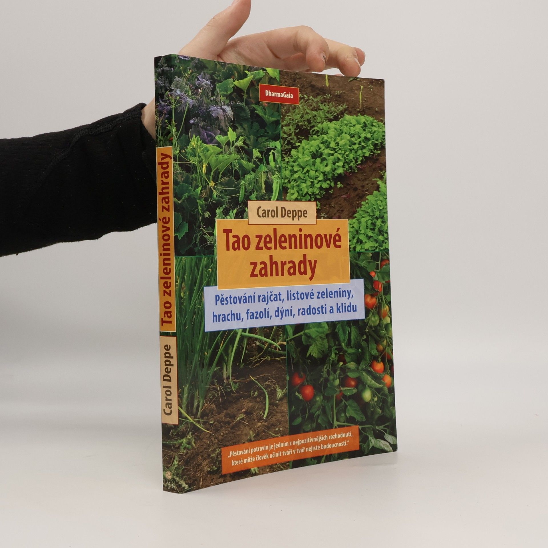 Tao zeleninové zahrady: Pěstování rajčat, listové zeleniny, hrachu, fazolí, dýní, radosti a klidu