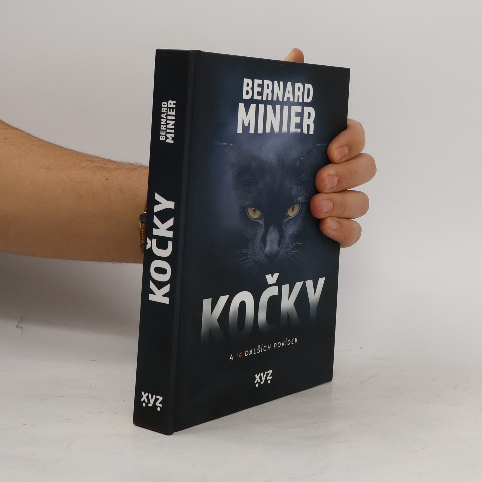 Kočky