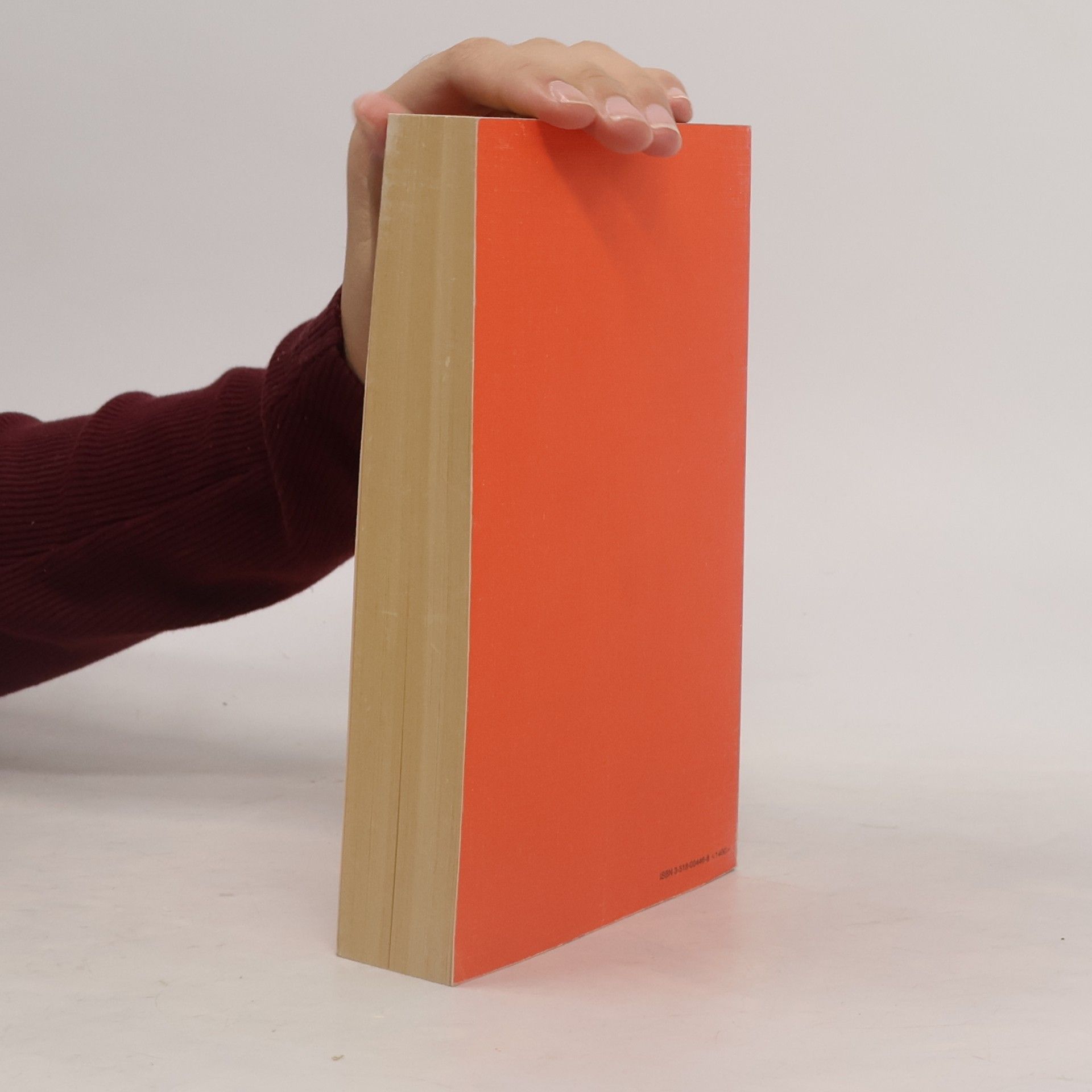 Günter Peter Straschek Handbuch wider das Kino