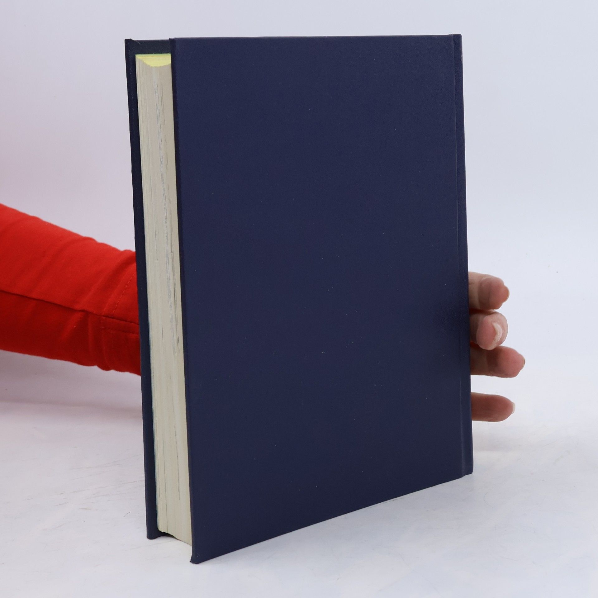 Collectif d'auteurs Podoby budoucnosti