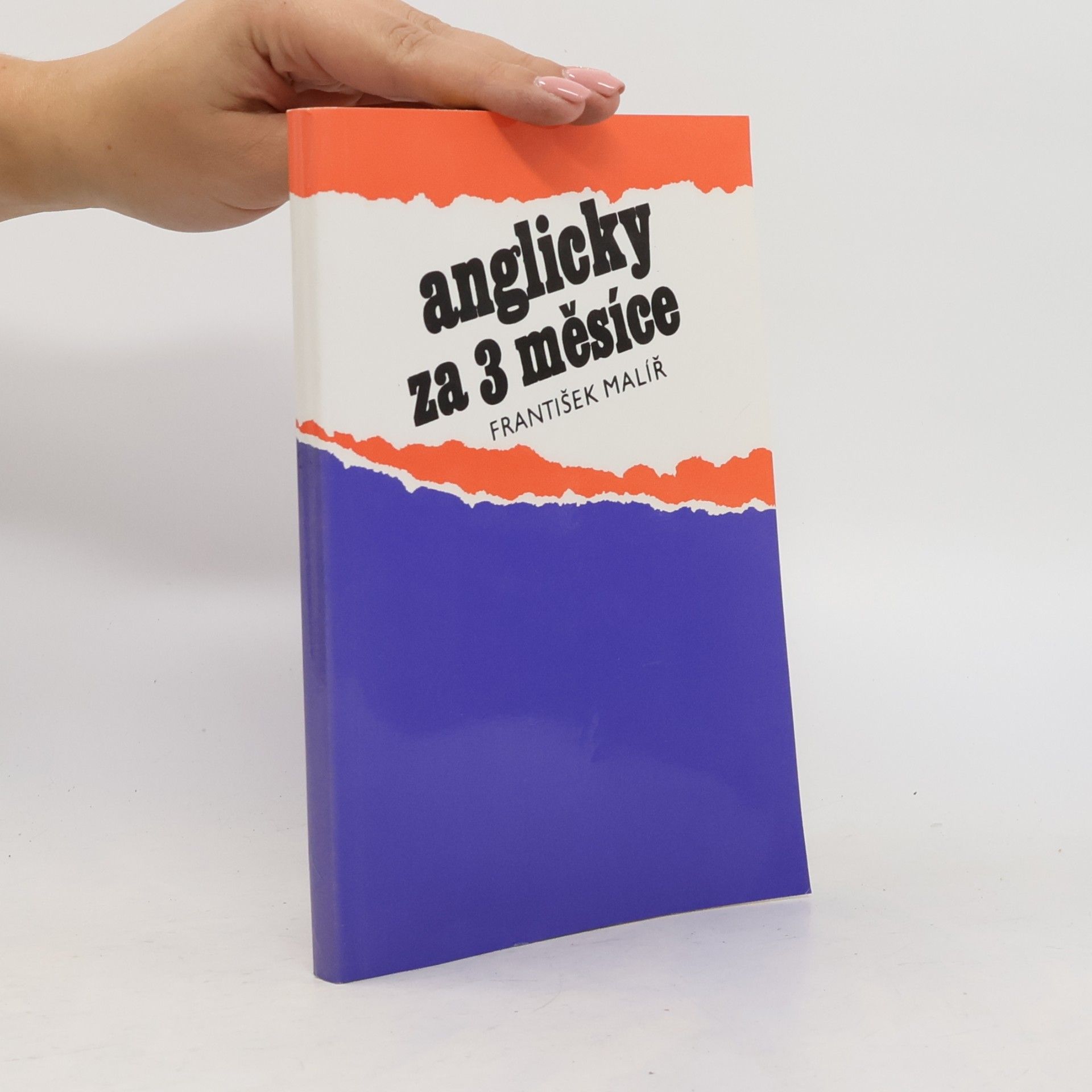 František Malíř Anglicky za 3 měsíce