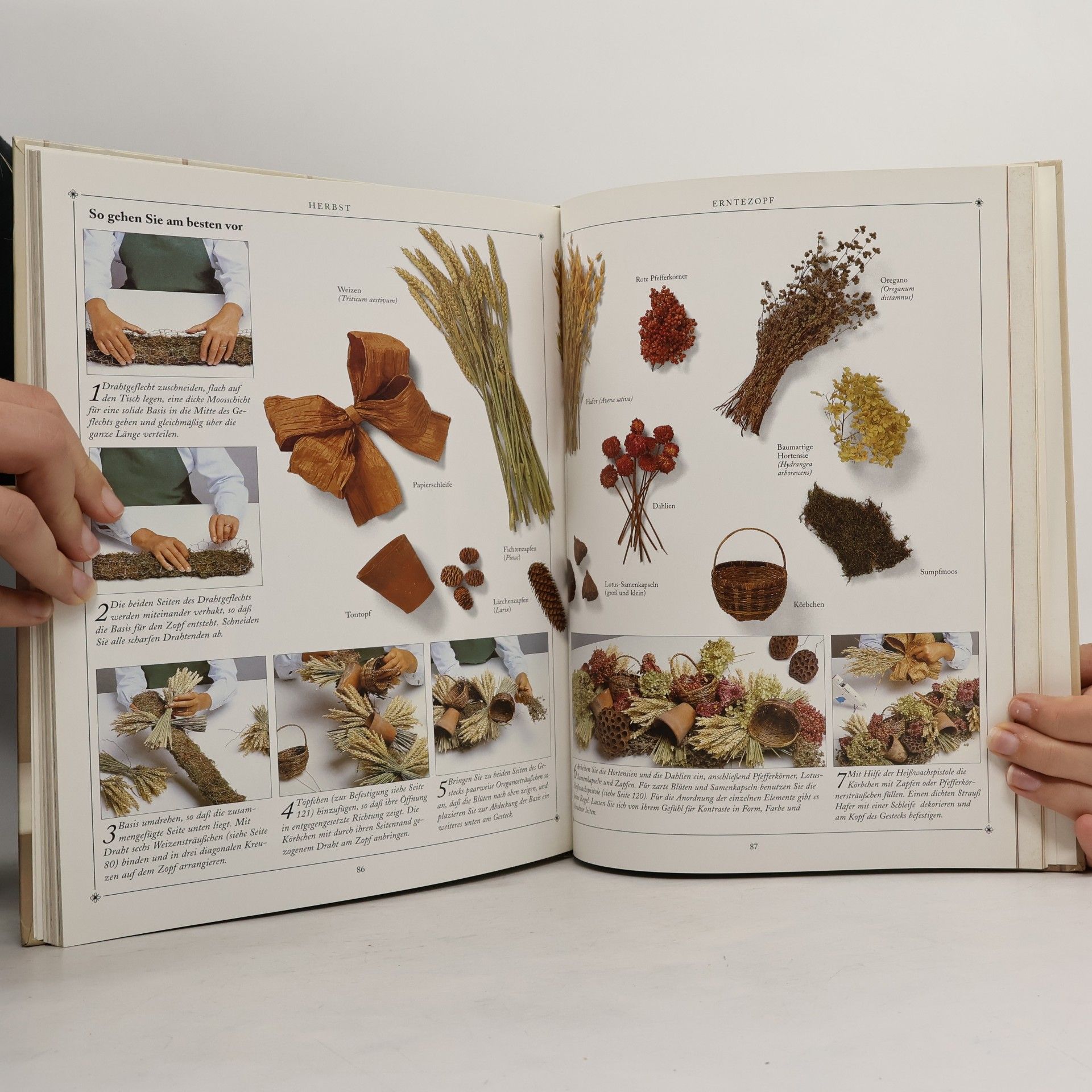 Autores varios Freude mit Trockenblumen