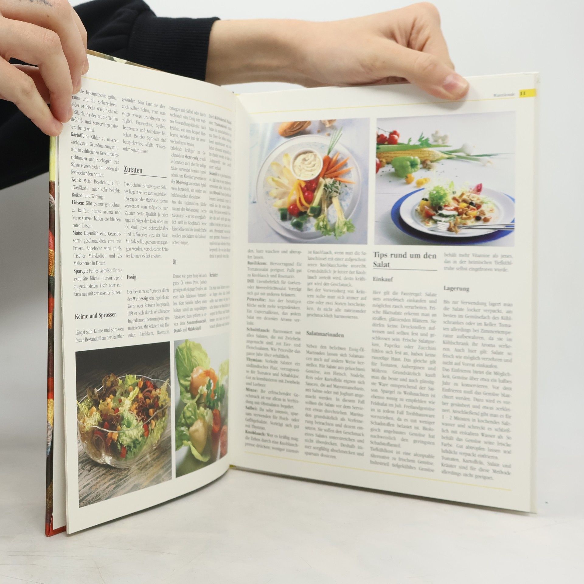 Autorenkollektiv Köstliche Salate & Dressings (Thea Sommers Grosse Küchenbibliothek)
