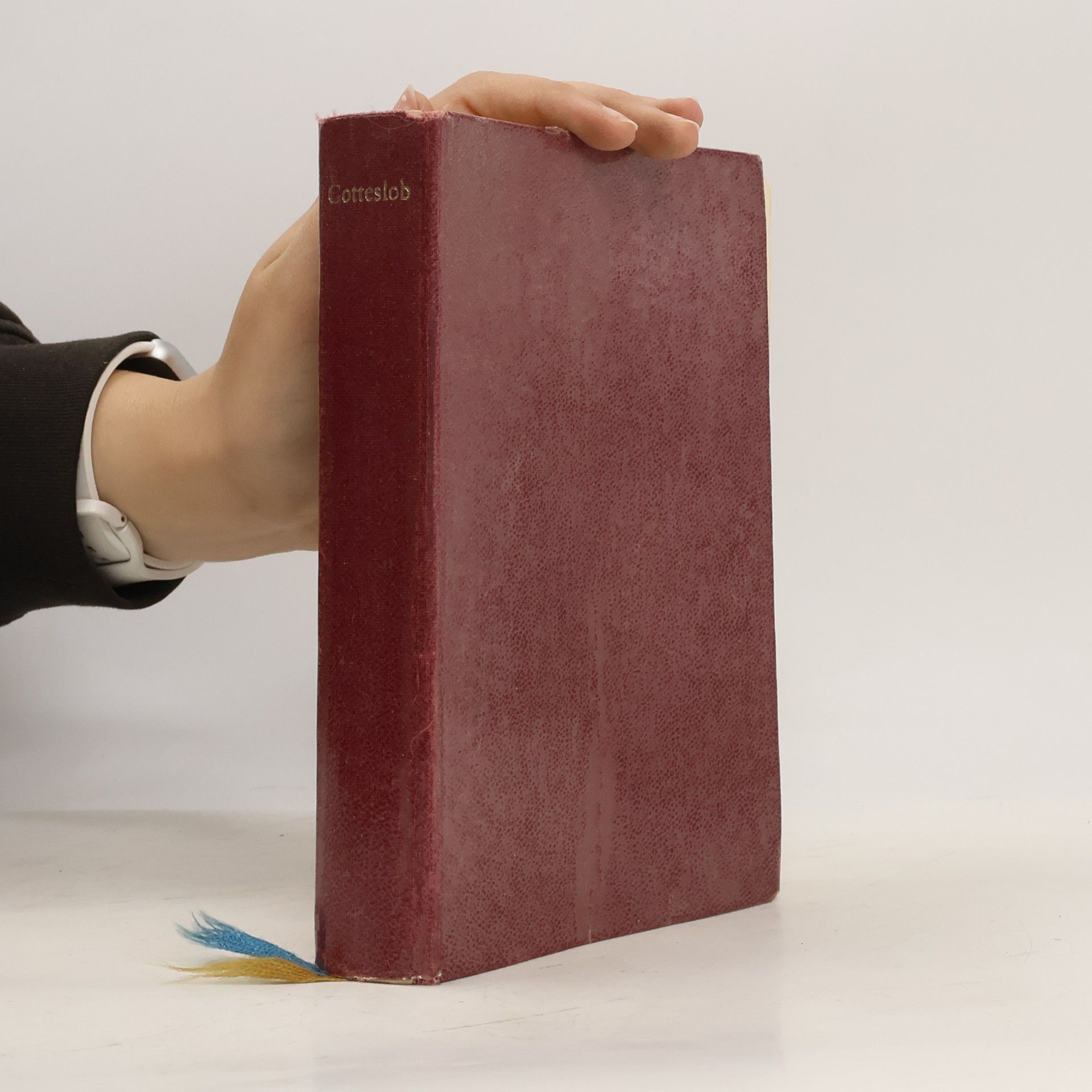 Collectif d'auteurs Gotteslob