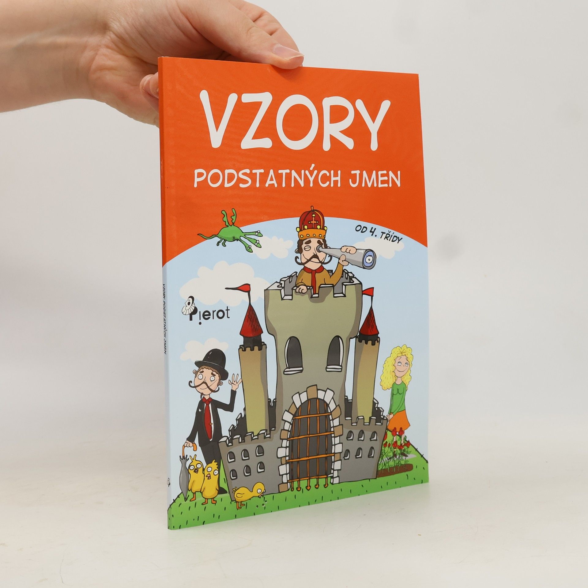 Vzory podstatných jmen